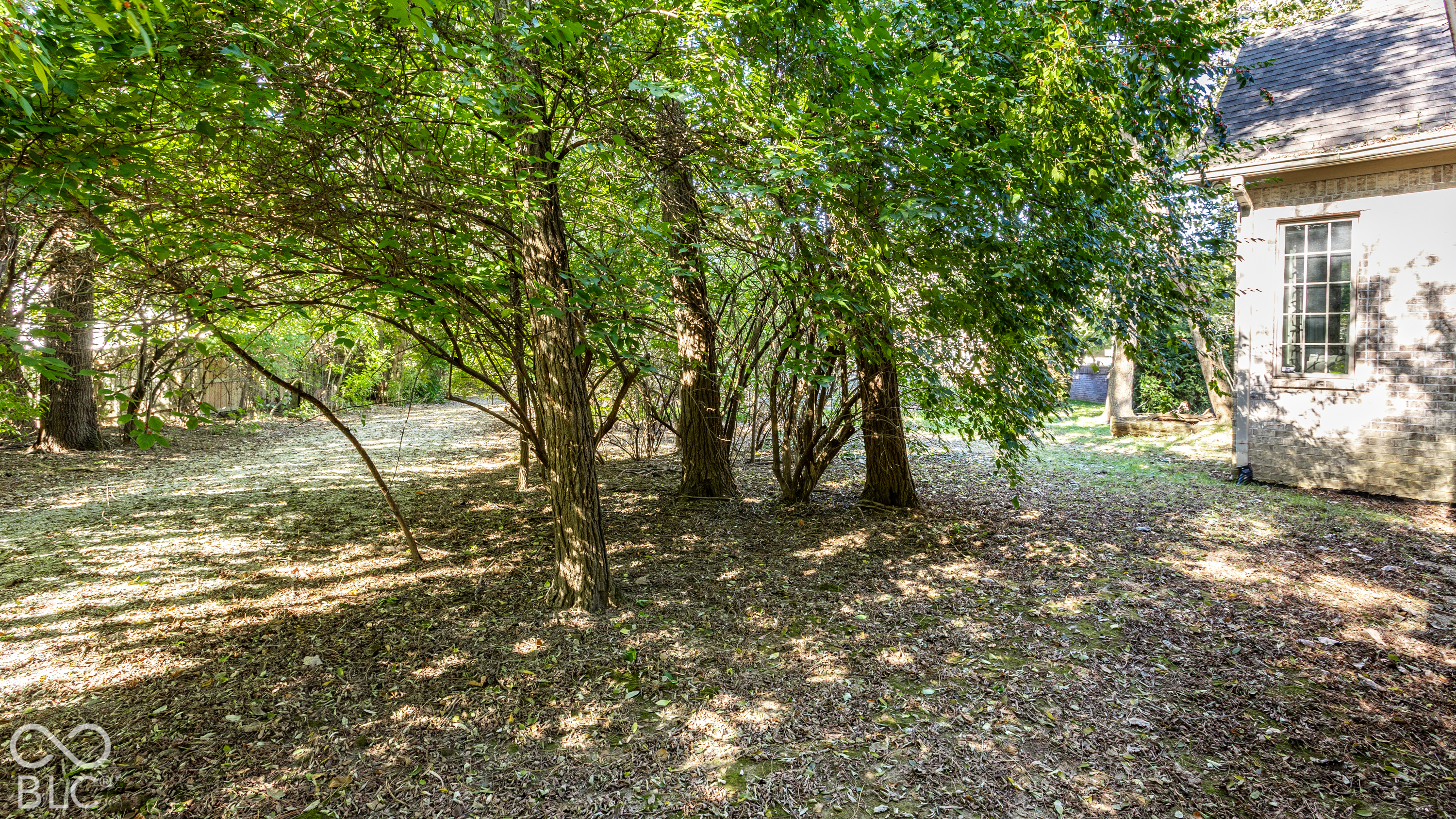 985 Oscar Lane