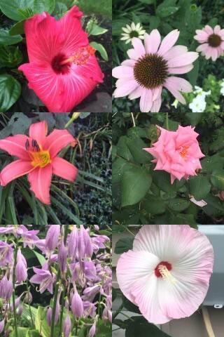 311 Mill Wind Court S