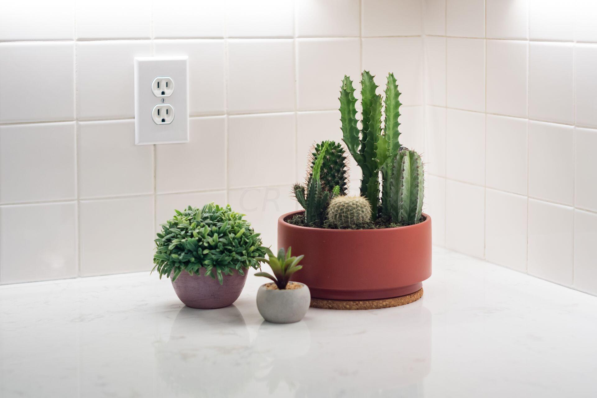 311 Mill Wind Court S