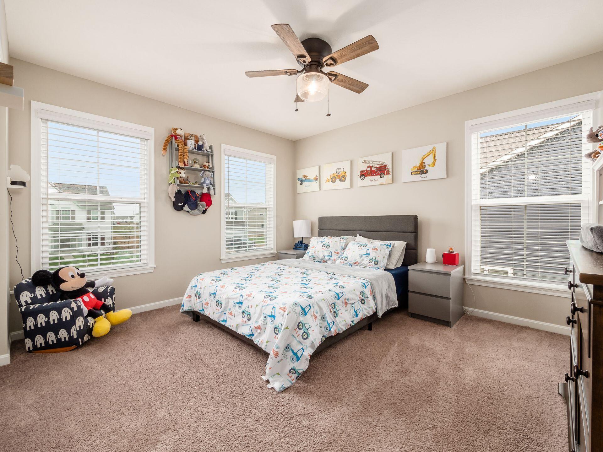 143 Cinnamon Teal Street