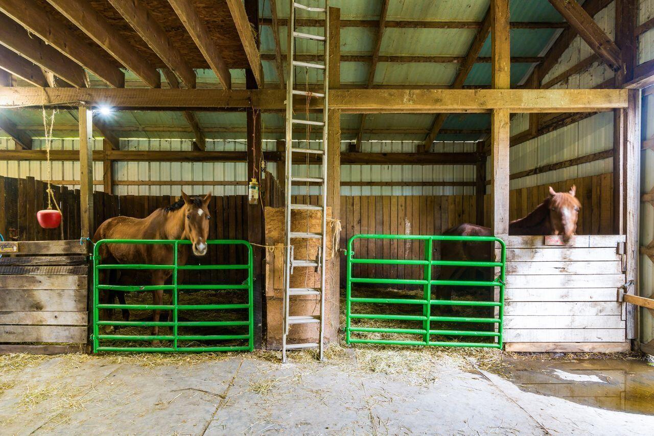 8861 Johnstown Alexandria Road
