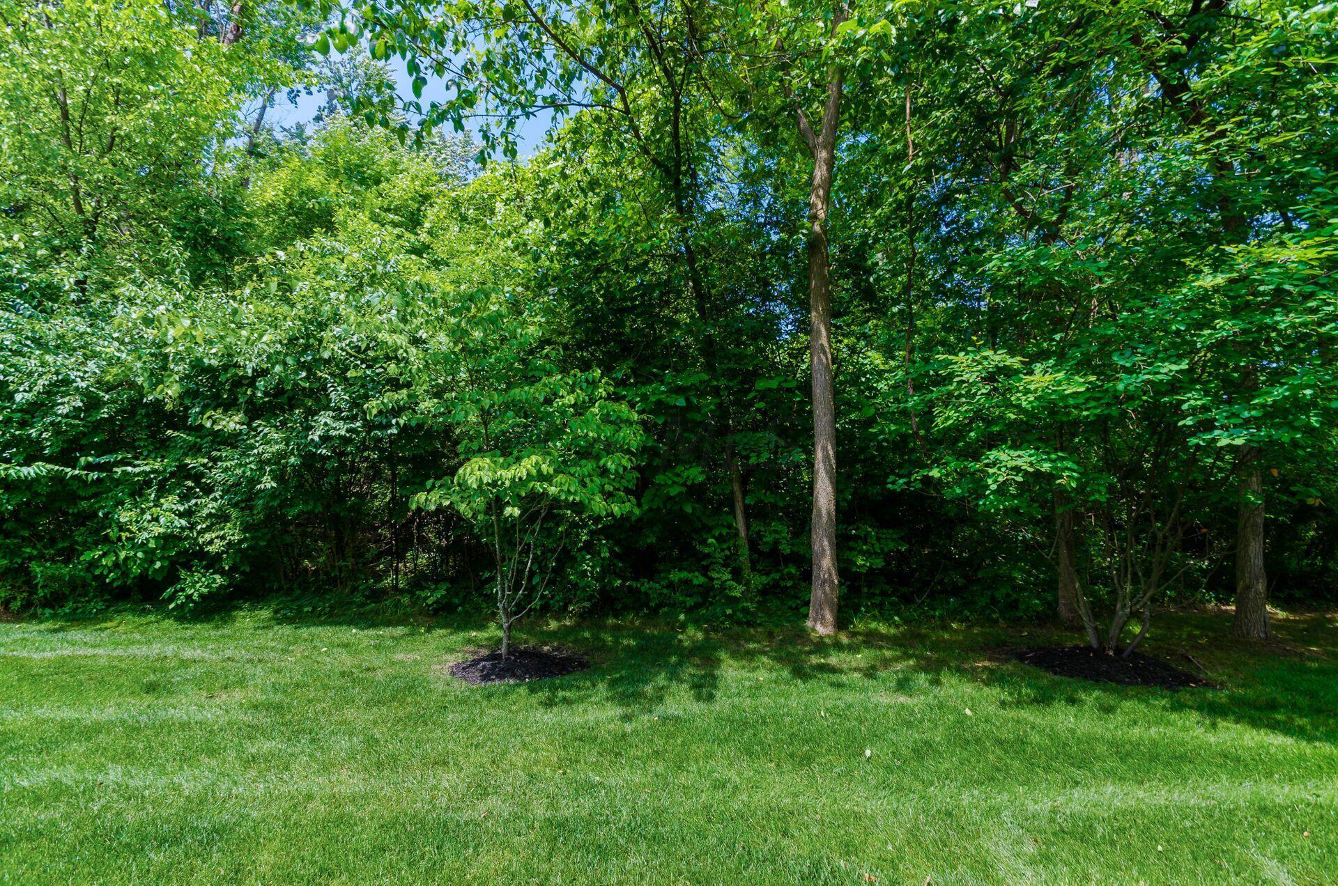 393 Ridgemoor Lane