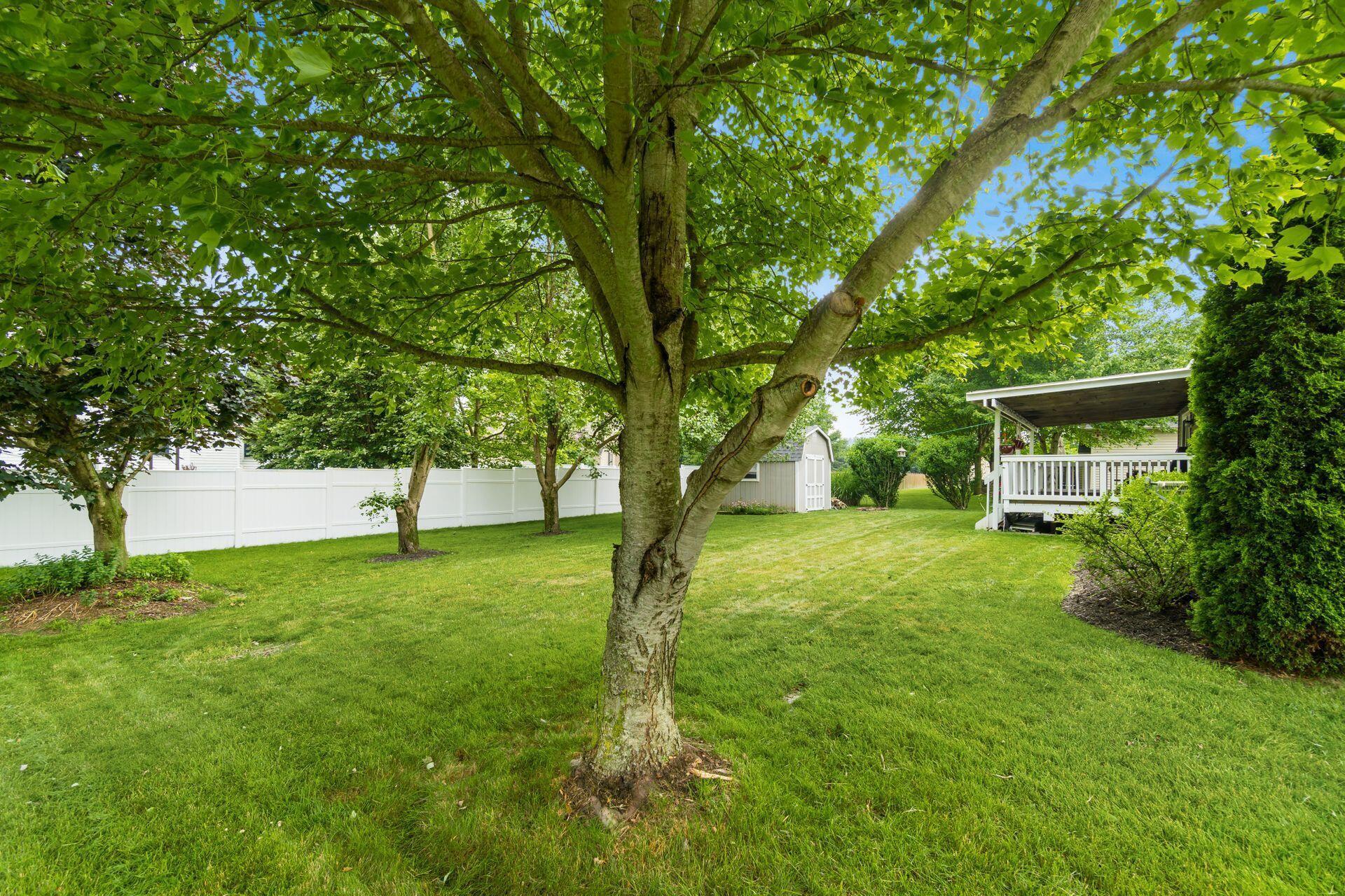 937 Glyn Jones Court