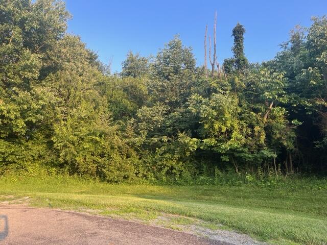 Lot #237 Winesap Court