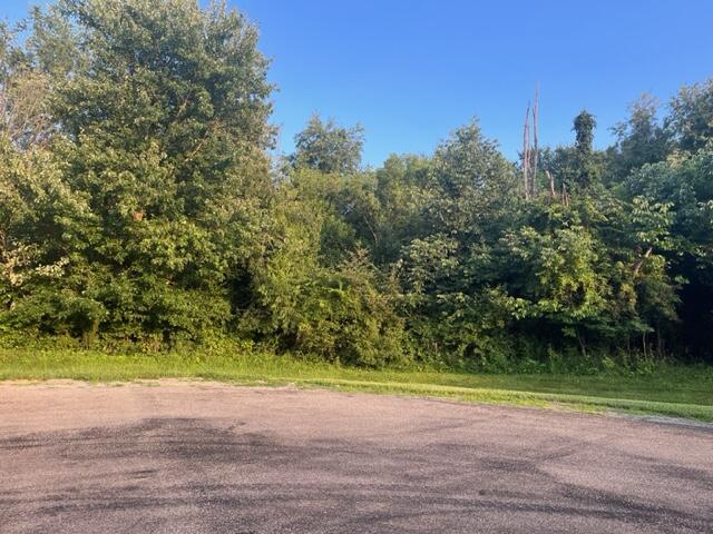 Lot #237 Winesap Court