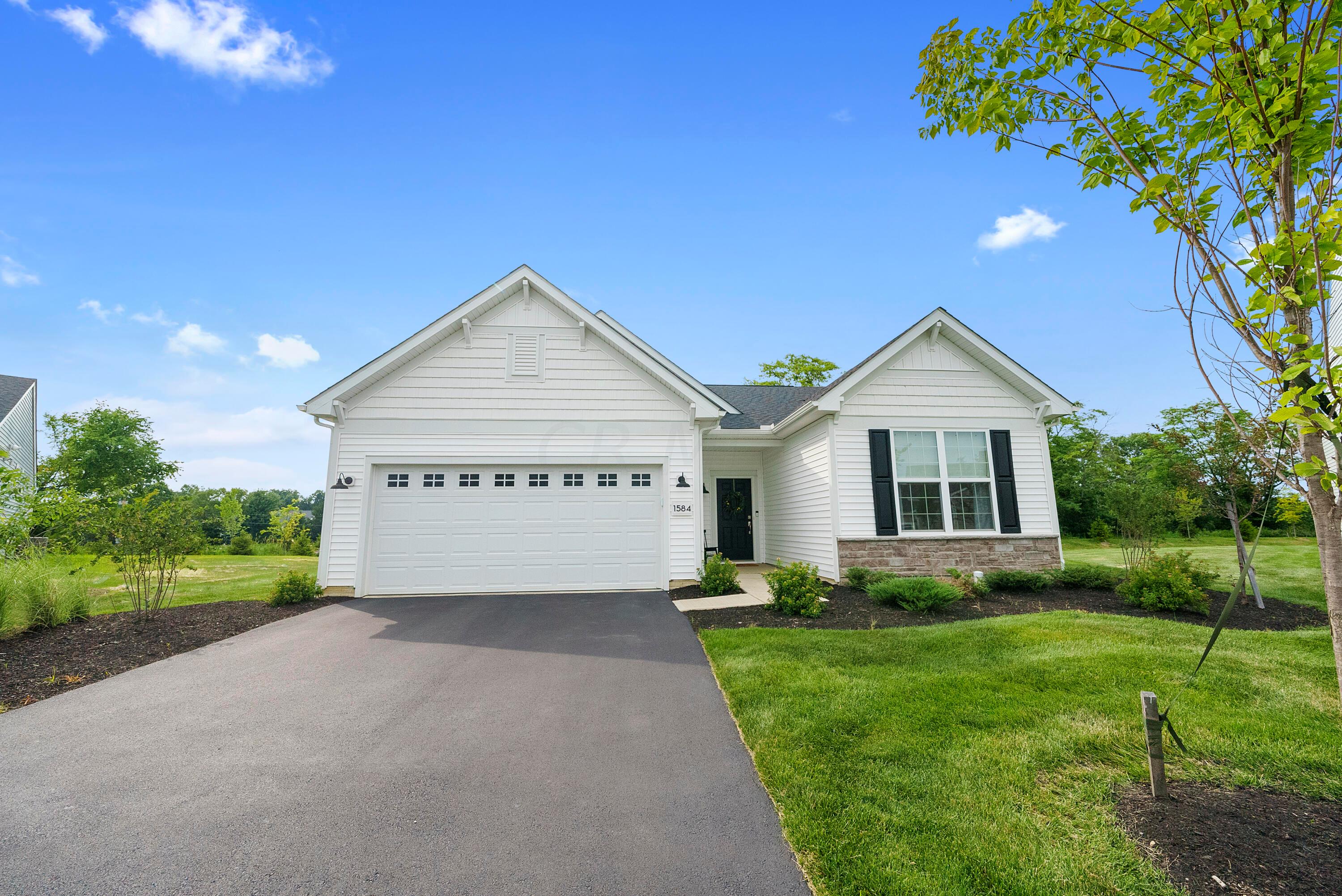 1584 Nettle Court