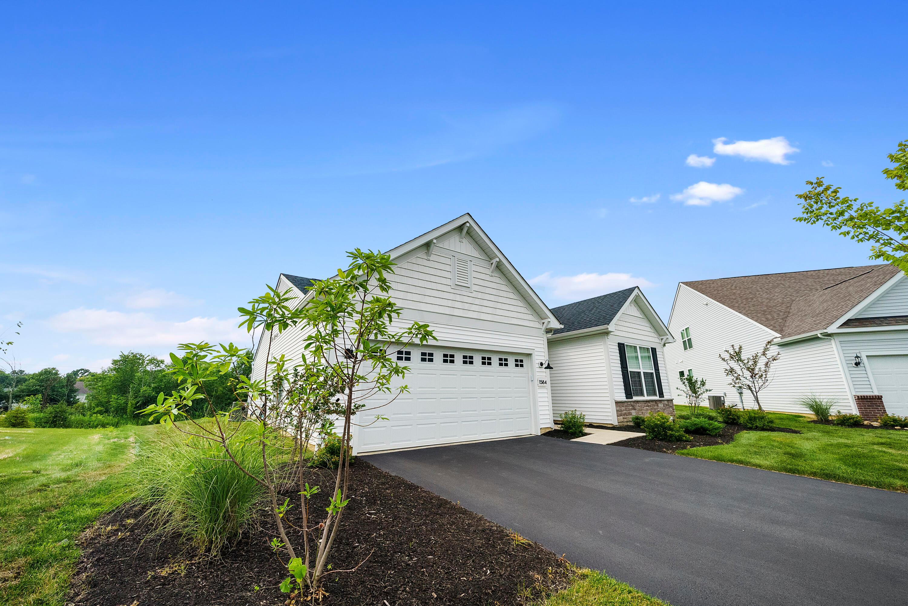 1584 Nettle Court