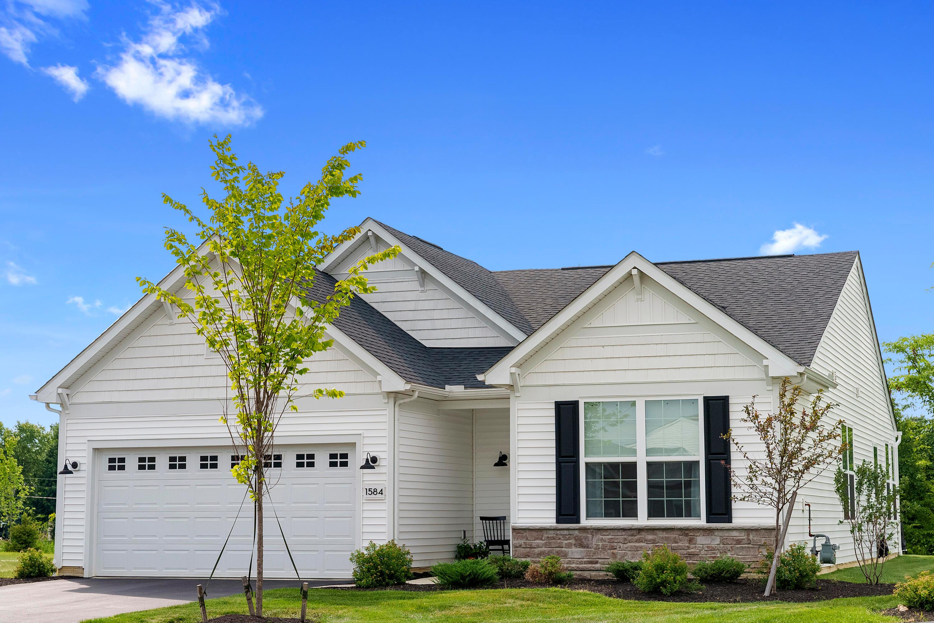 1584 Nettle Court