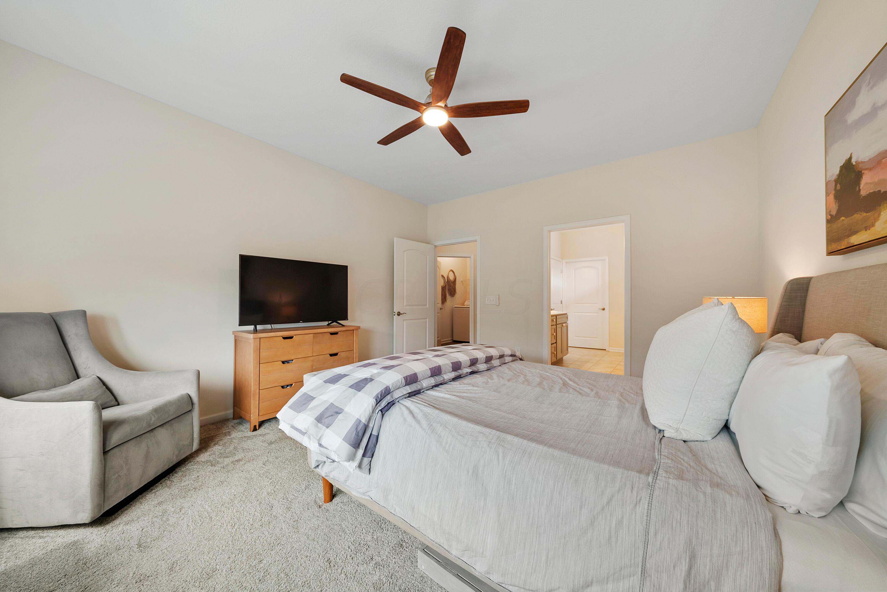 1584 Nettle Court