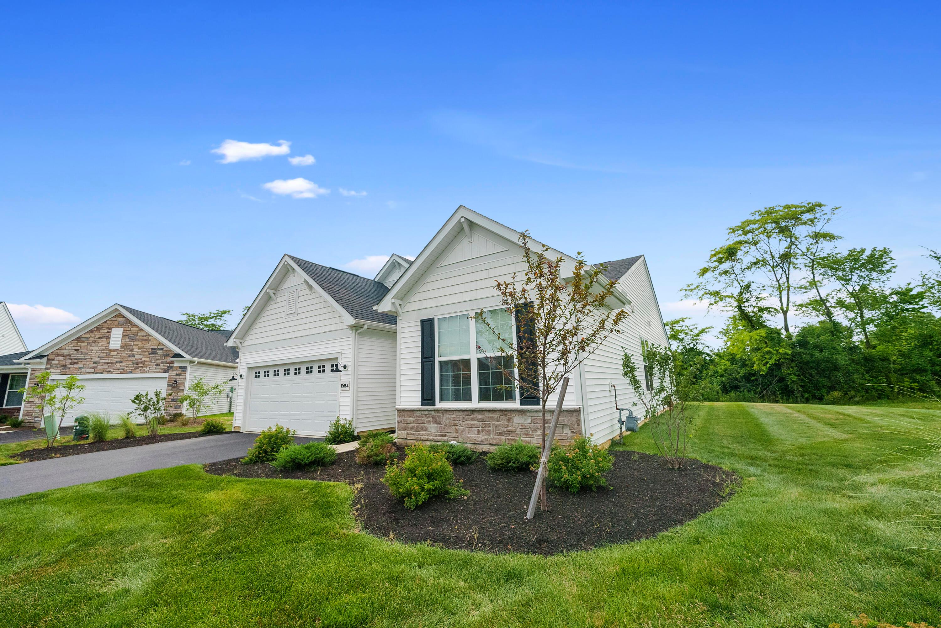 1584 Nettle Court