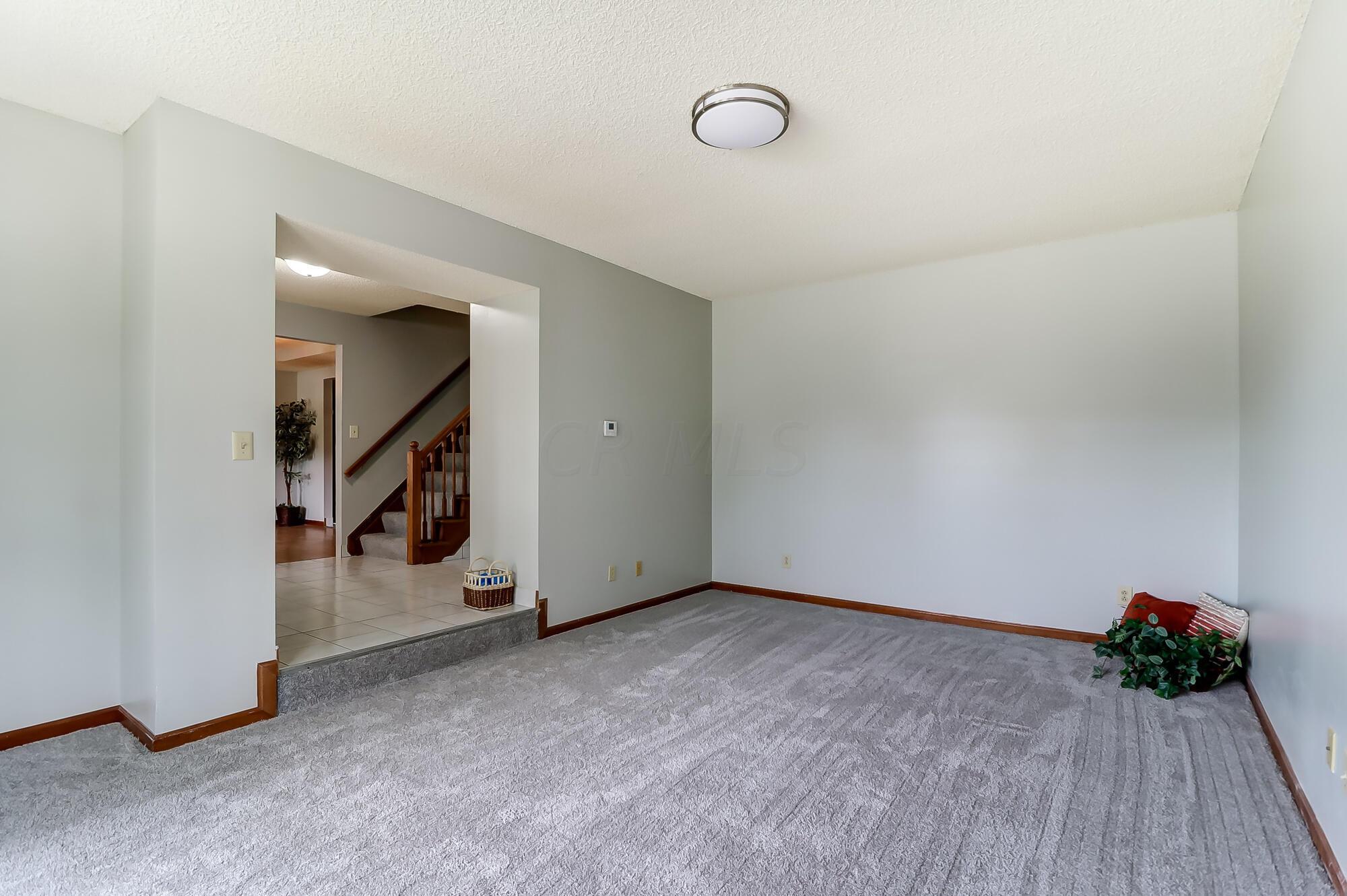 8290 Cairn Court