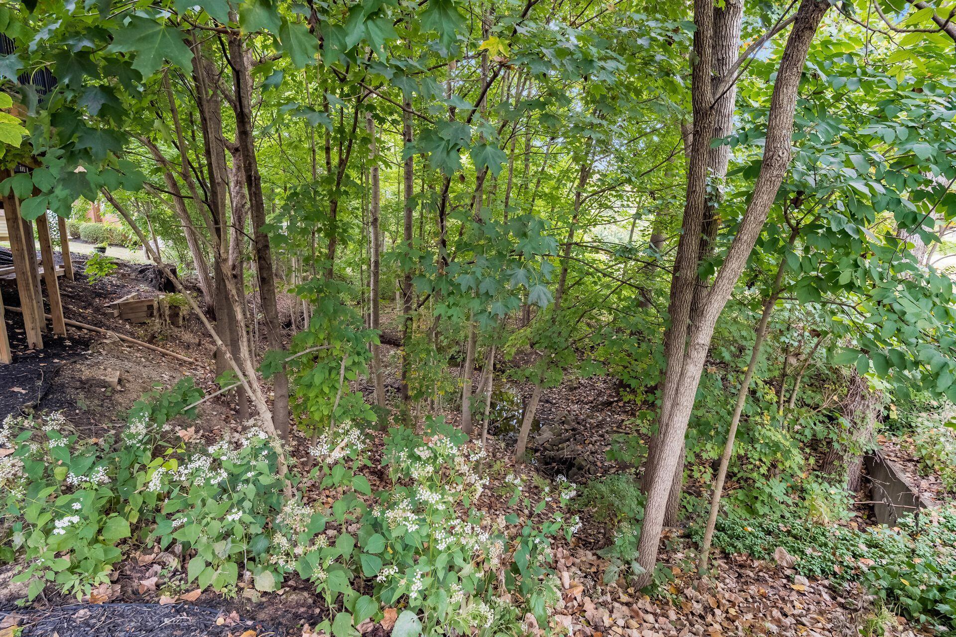 5135 Manor Ridge Court
