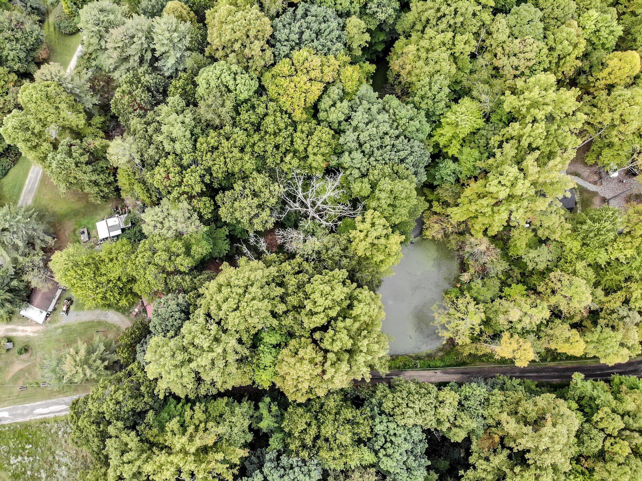 12217 Goldenrod Lane