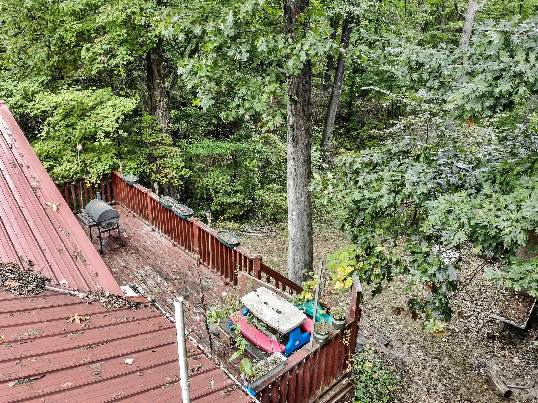 12217 Goldenrod Lane