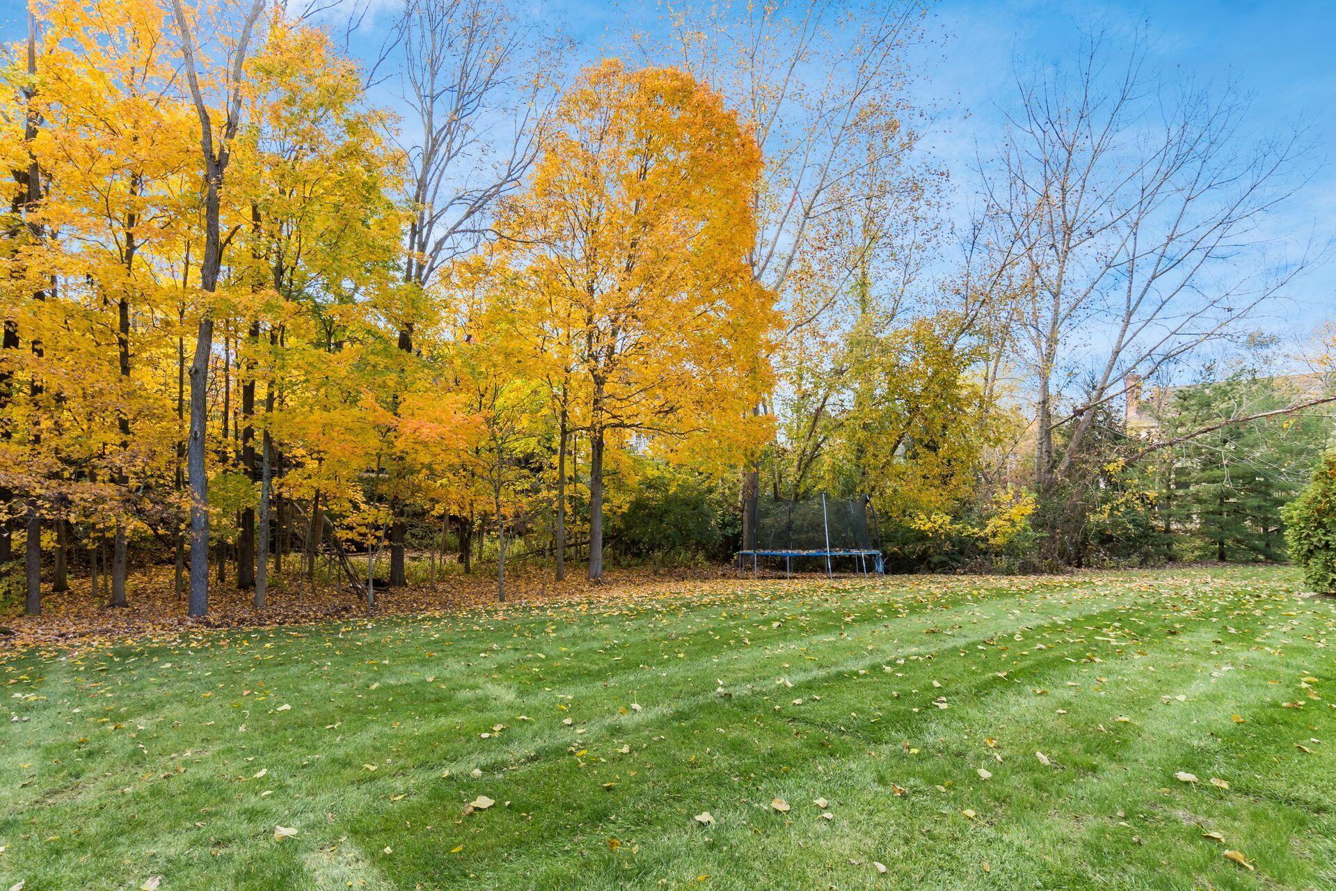 5226 Leydorf Lane