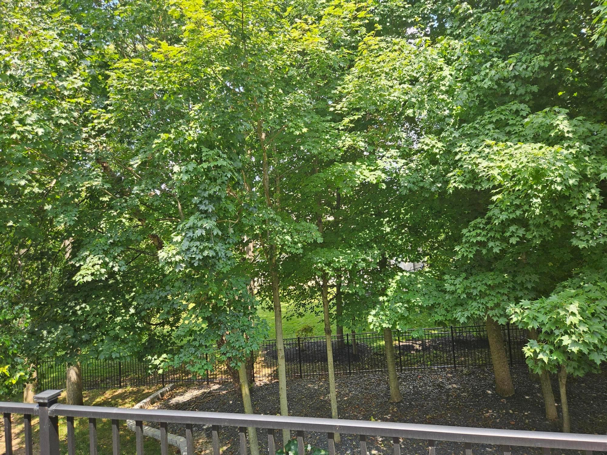 5073 Royal County Down