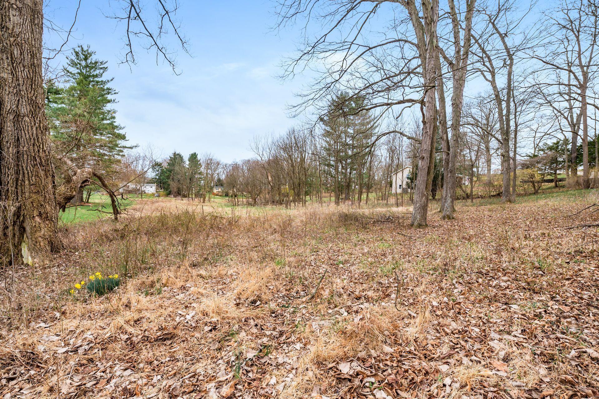 0 Beechwood Drive NE