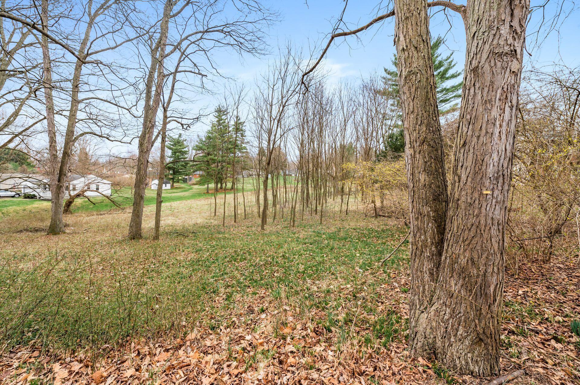 0 Beechwood Drive NE