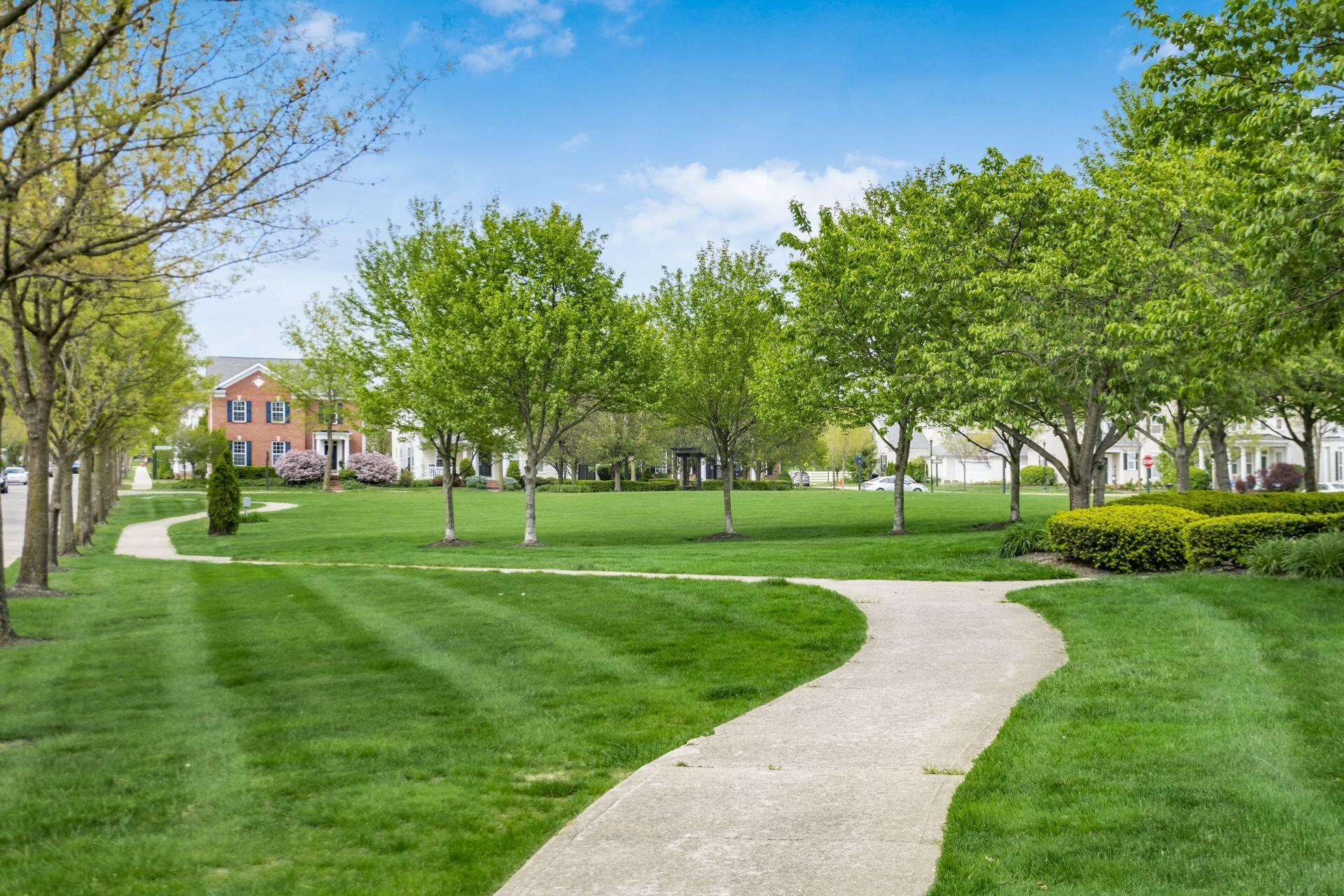 8109 Griswold Drive