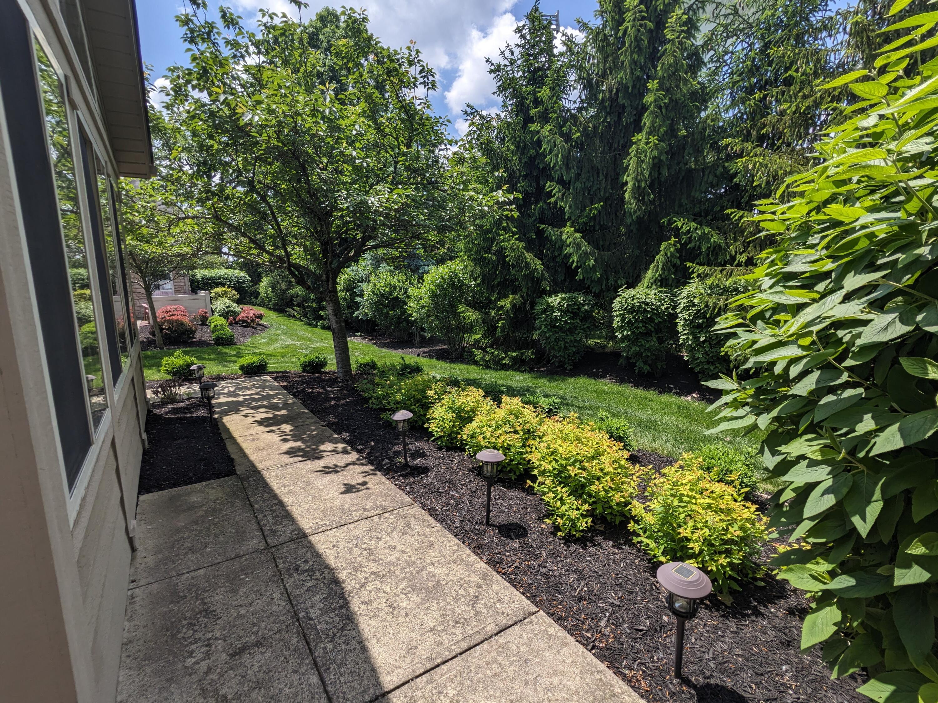 533 Ruttington Lane