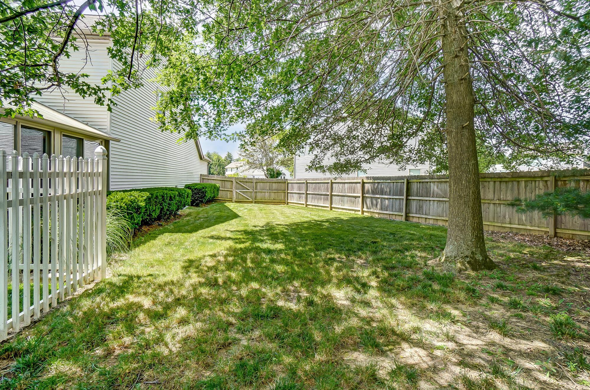 8296 Cairn Court