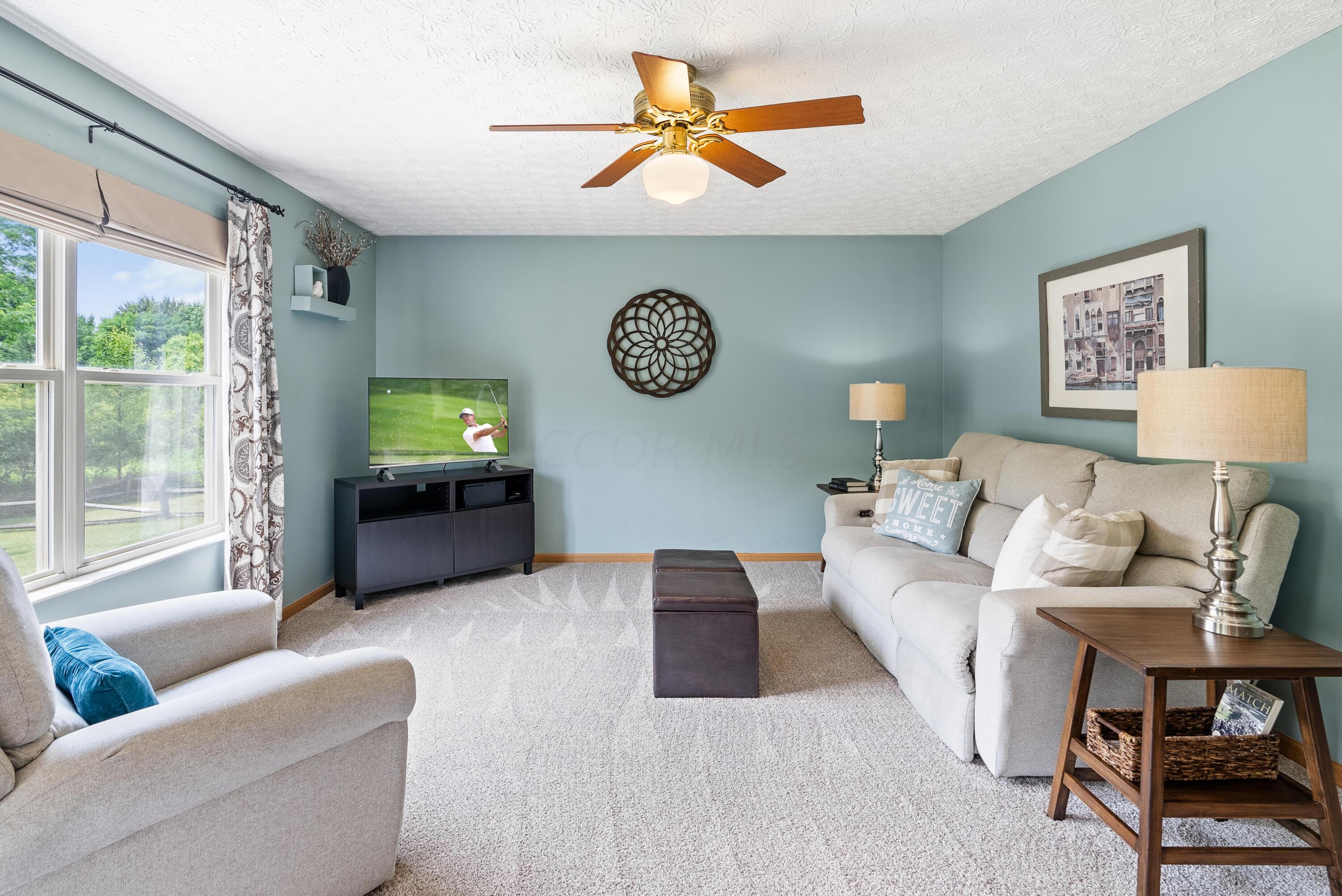 7438 Burson Springs Court