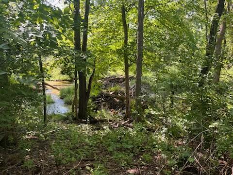 582 Dent Road