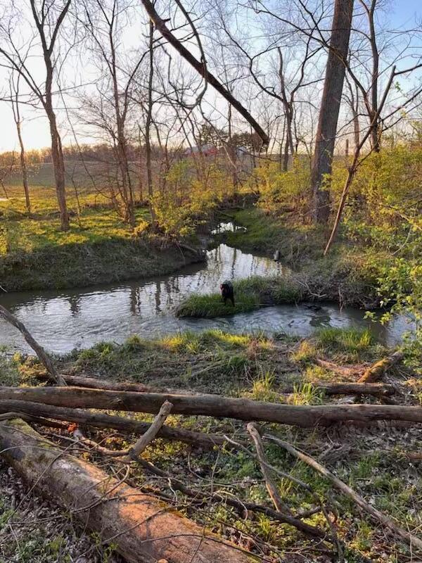 582 Dent Road