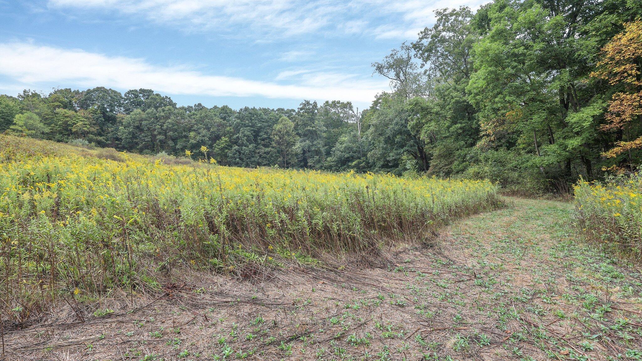 10771 Mount Hope Road