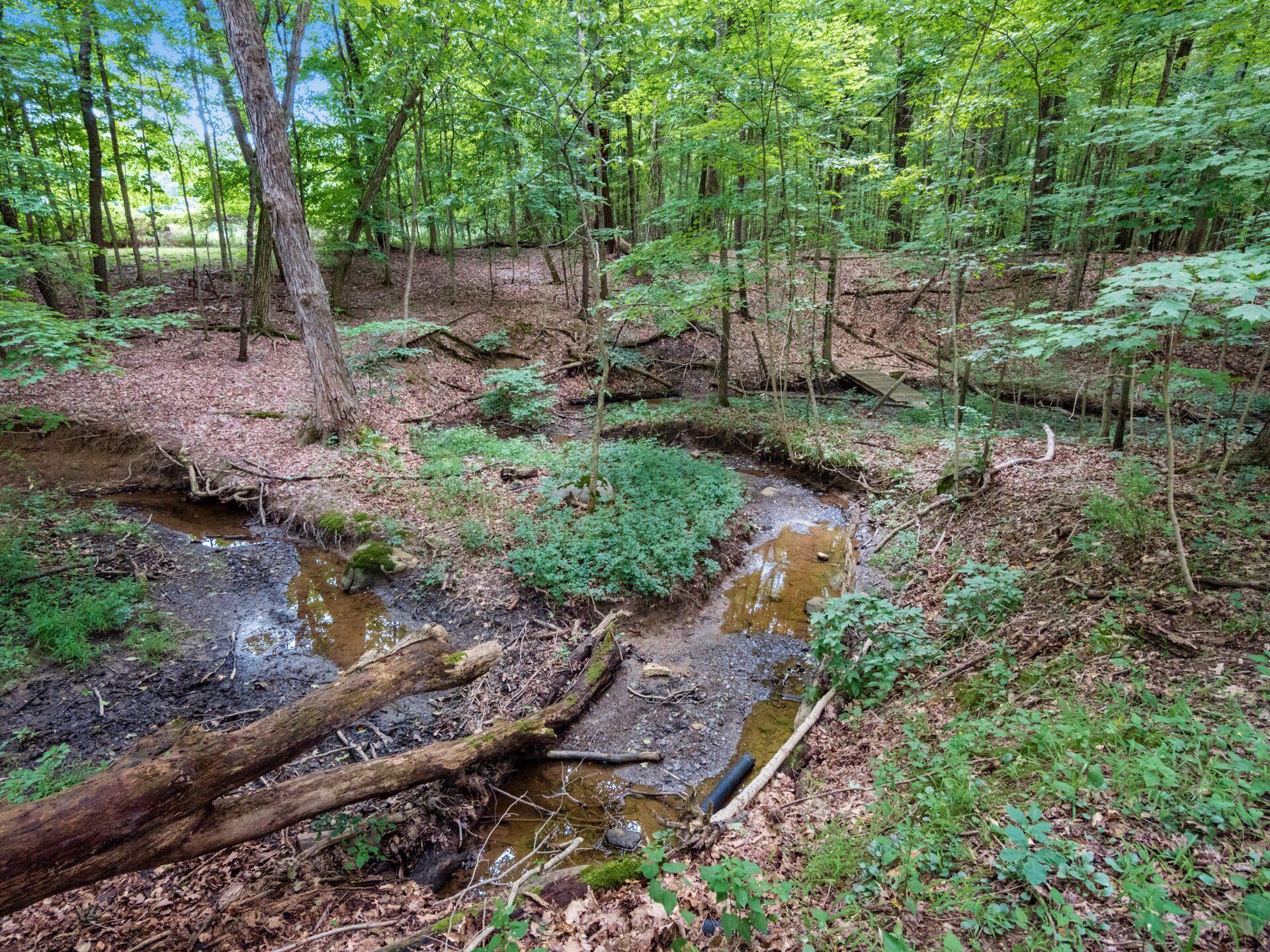 6216 State Route 521