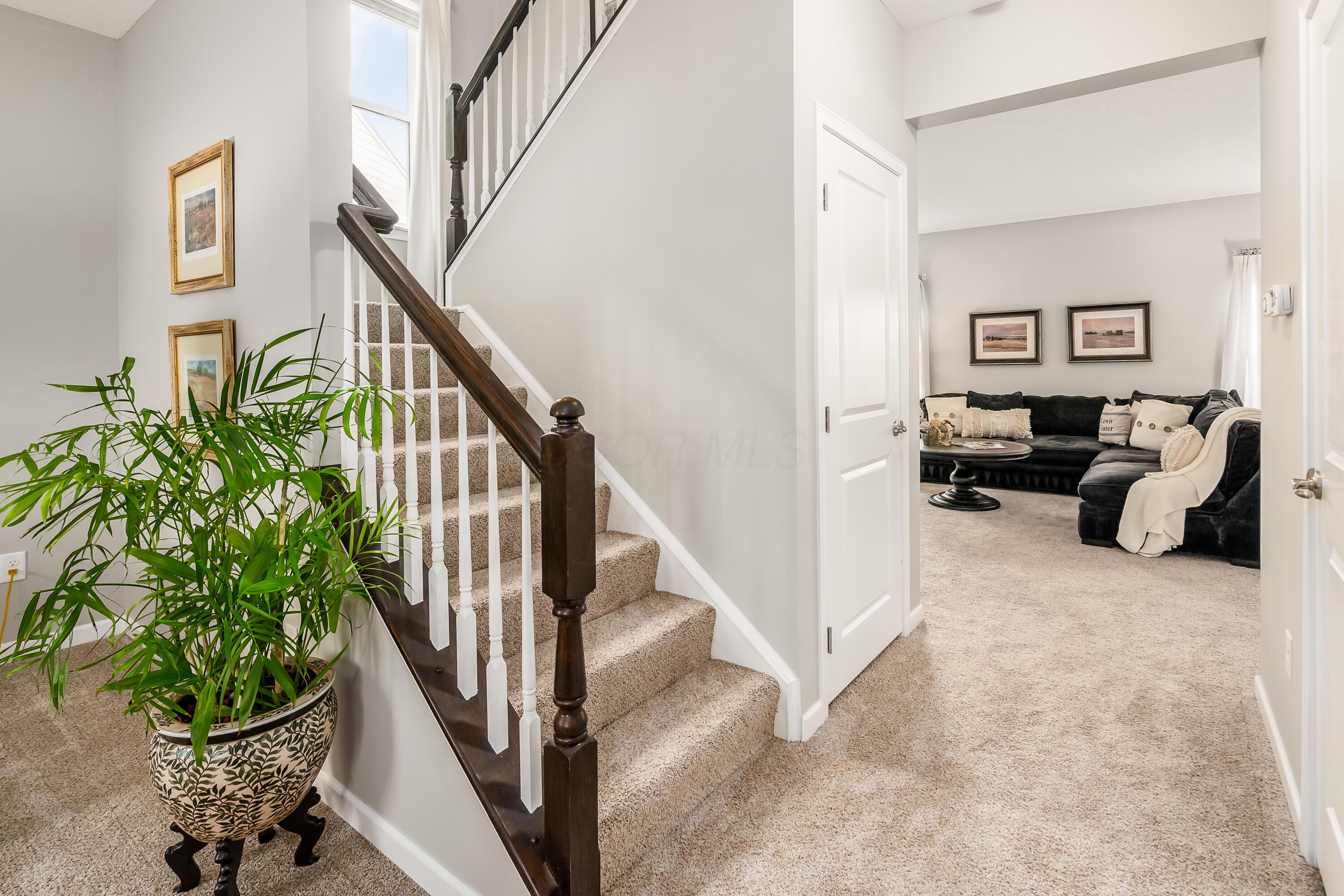 6367 Brandon Drive