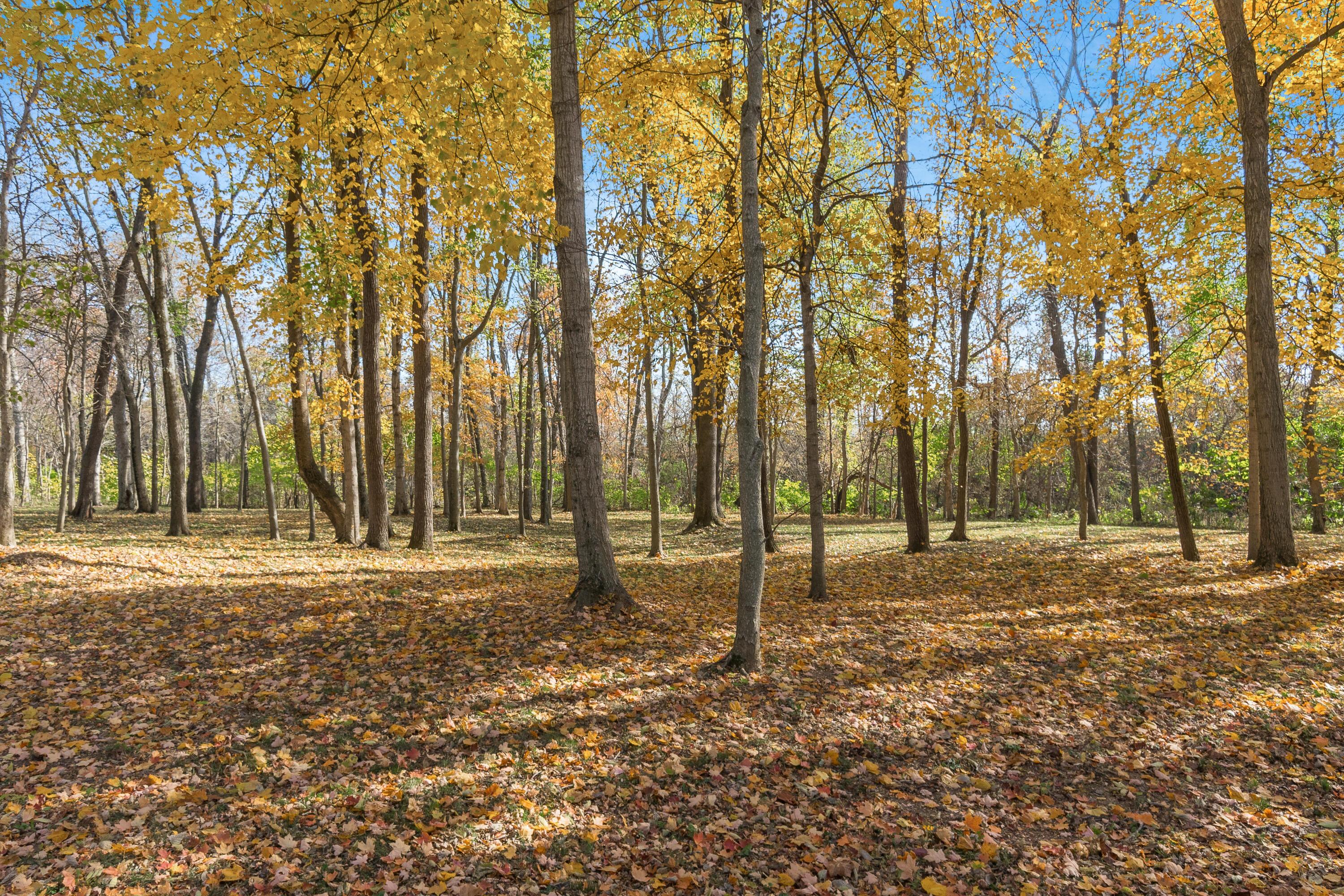10492 Allen Road