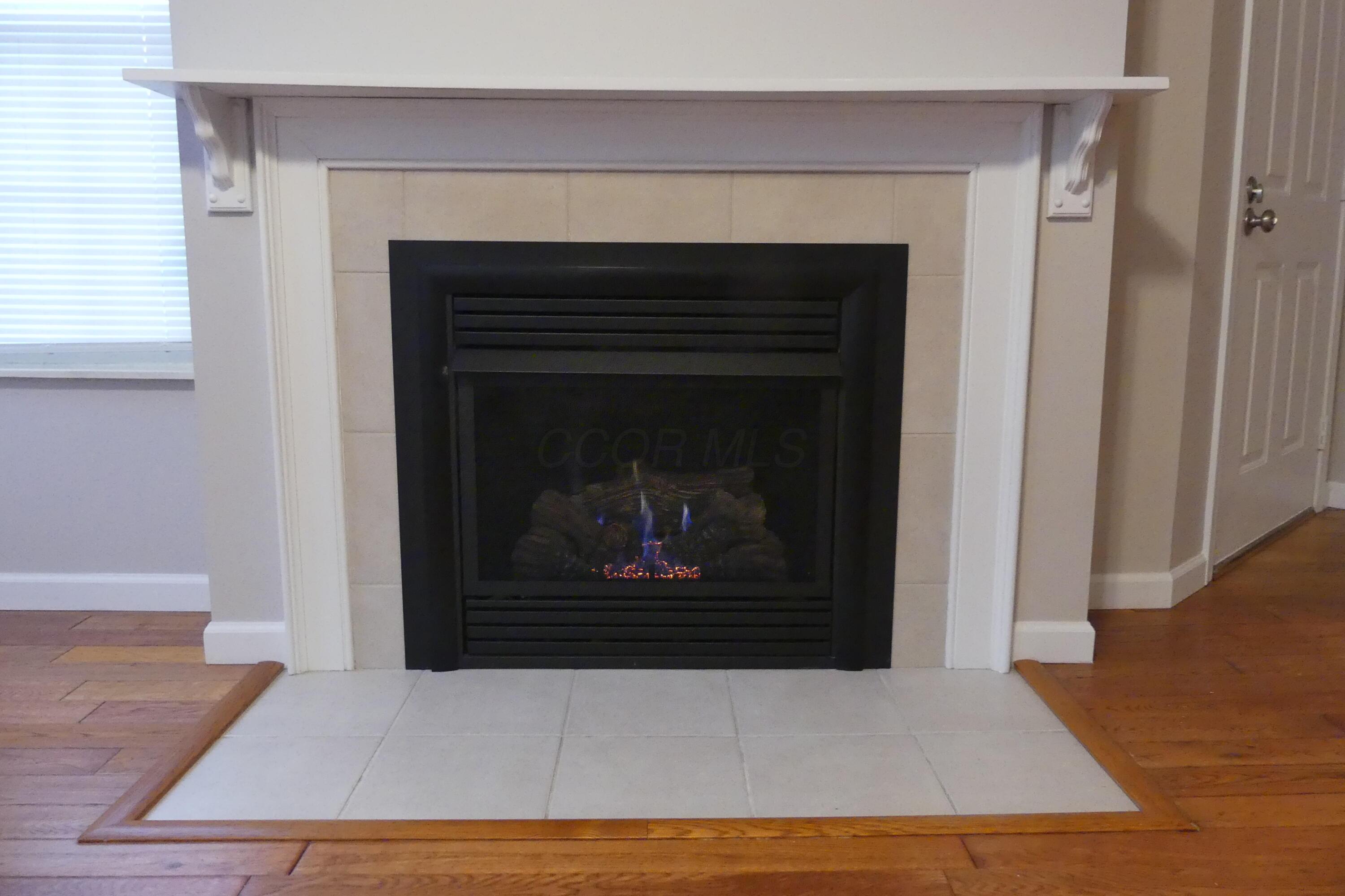 552 Dandy Brush Lane E, 5