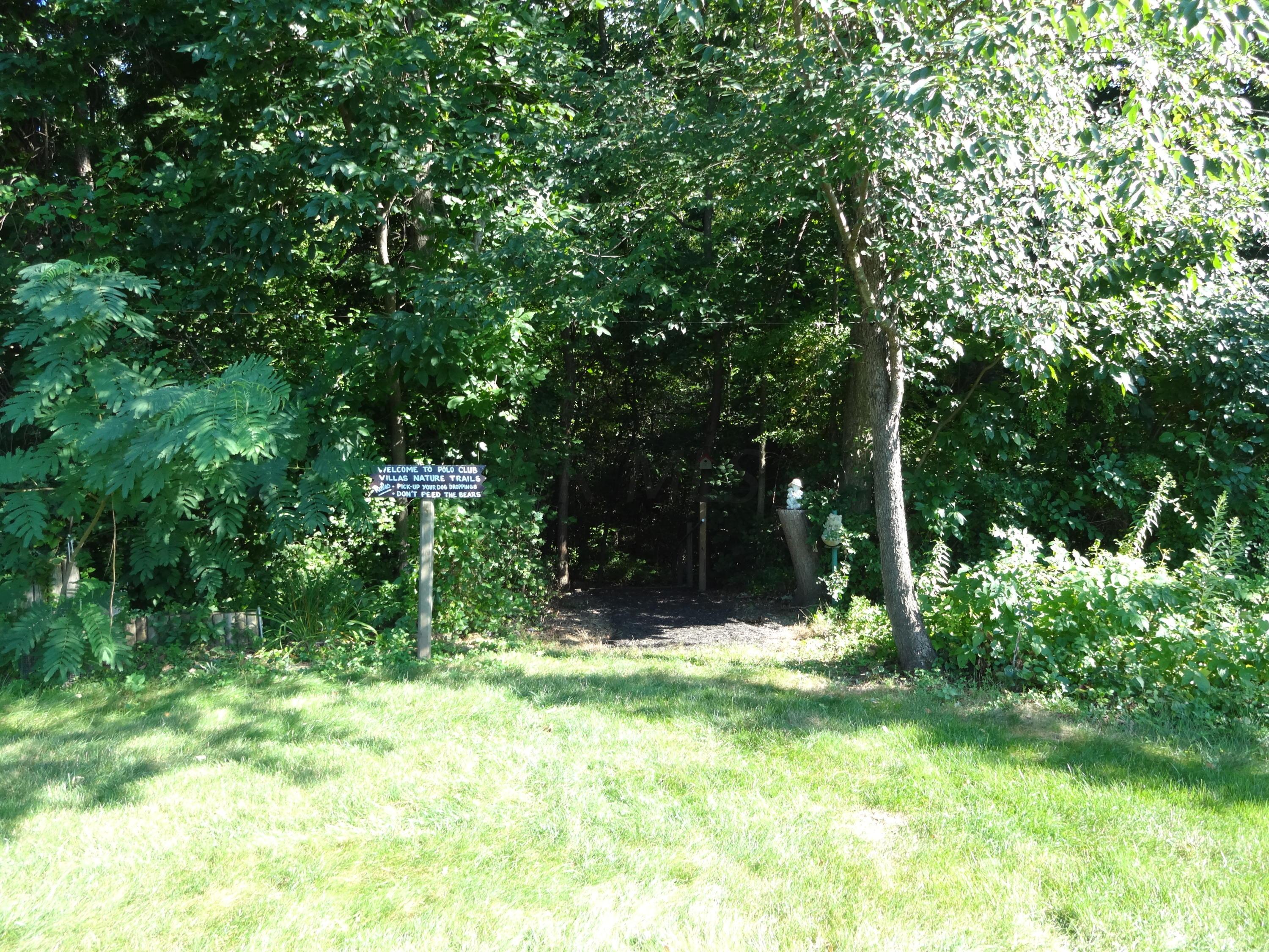 552 Dandy Brush Lane E, 5