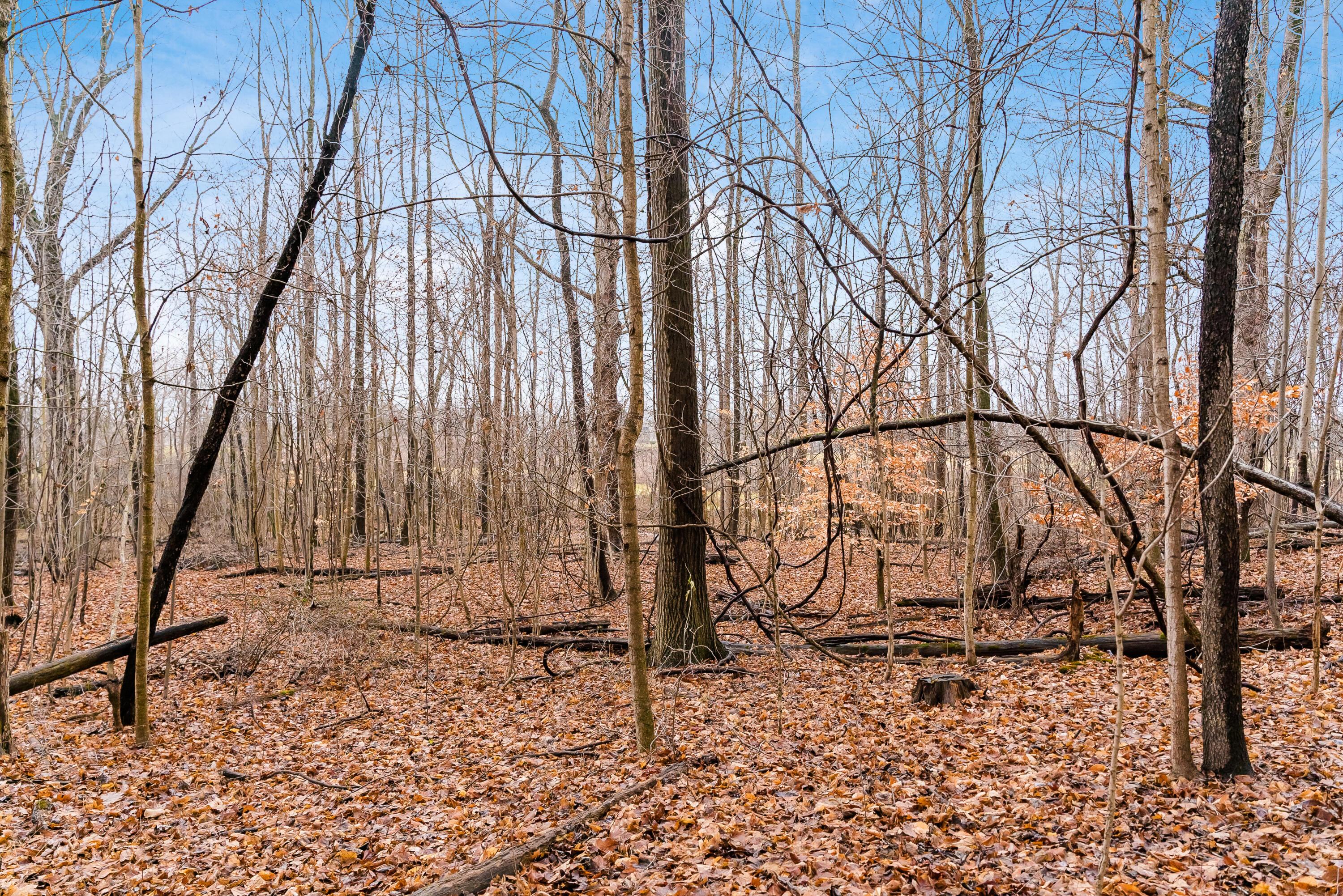 4085 County Road 98
