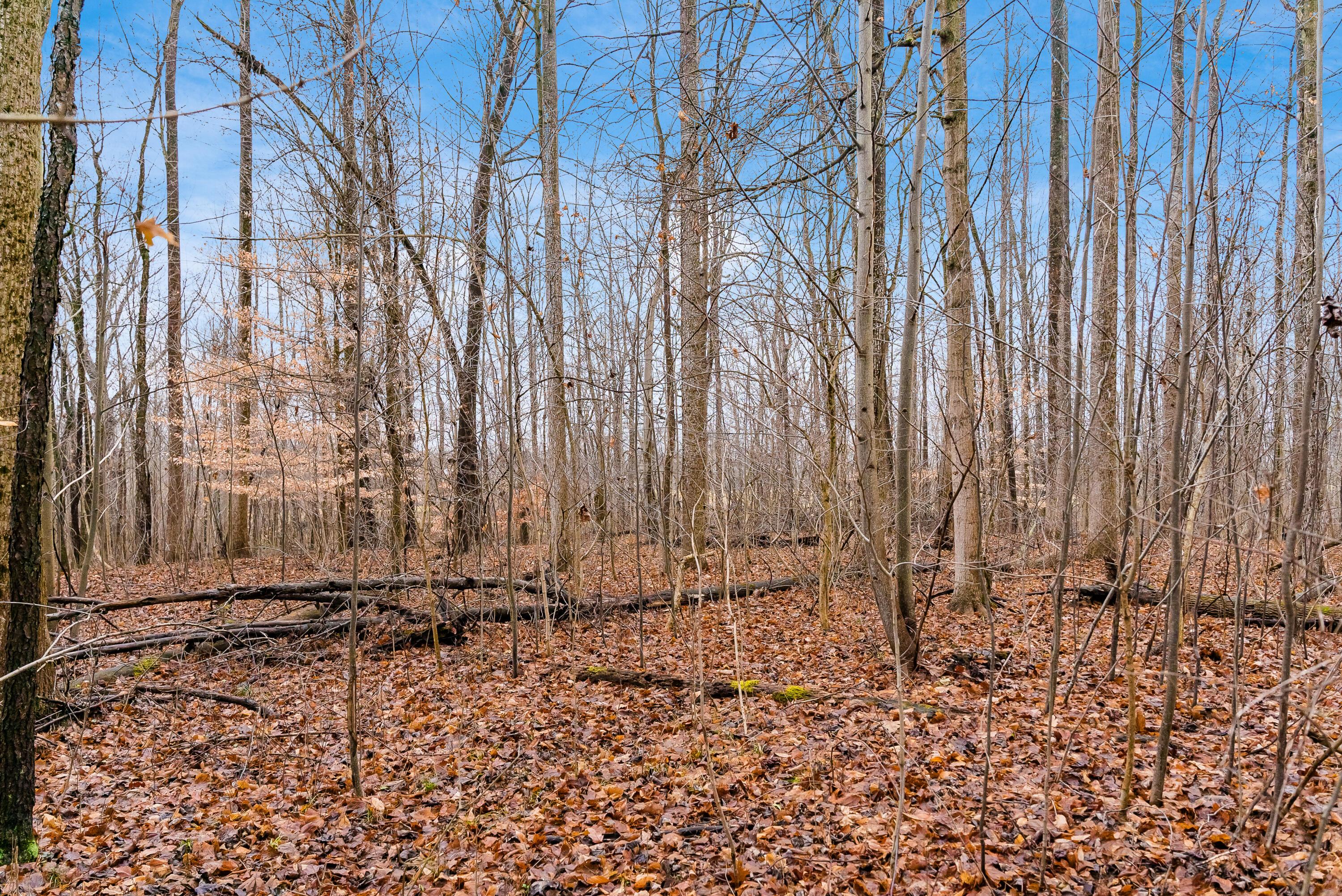 4085 County Road 98