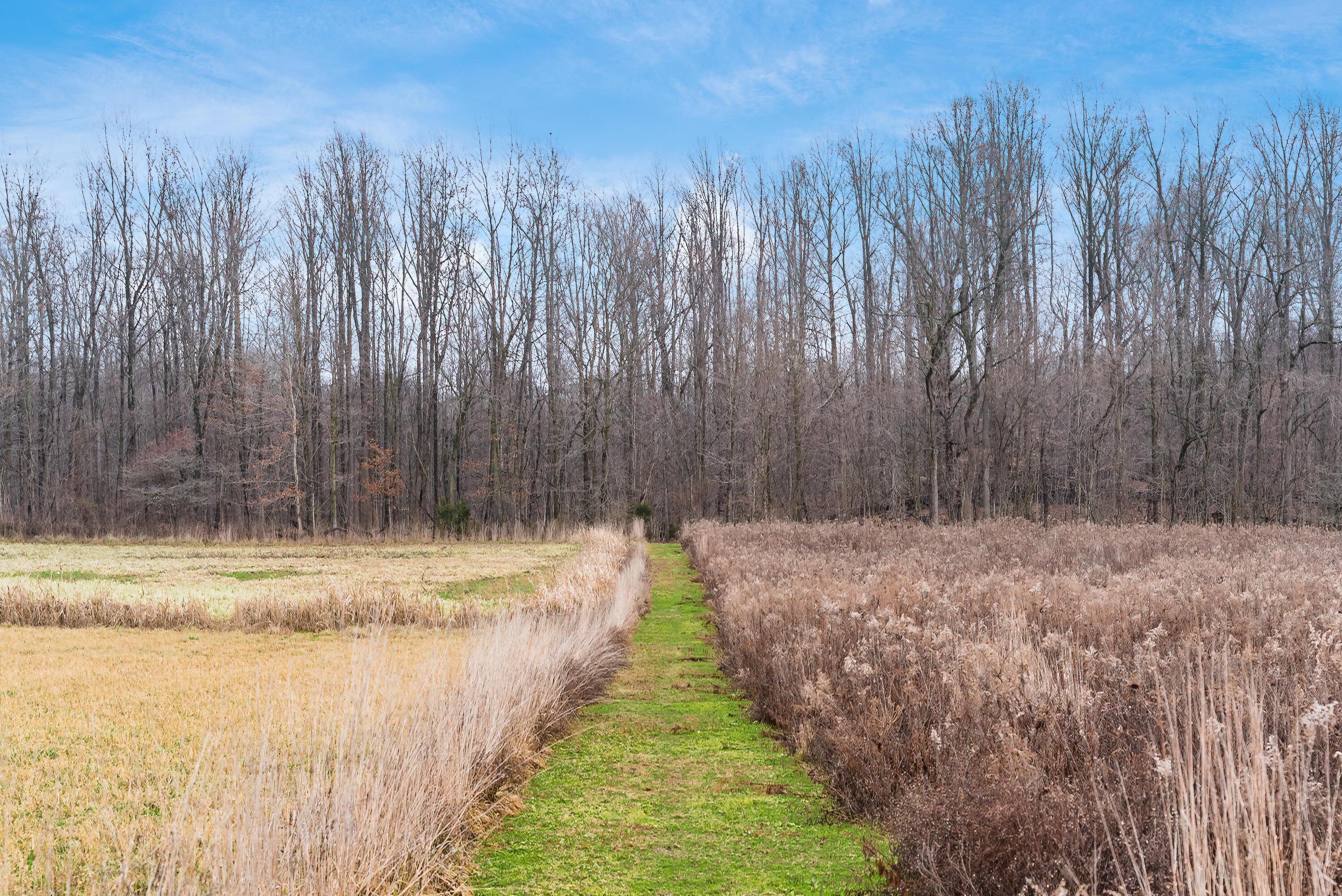 4085 County Road 98