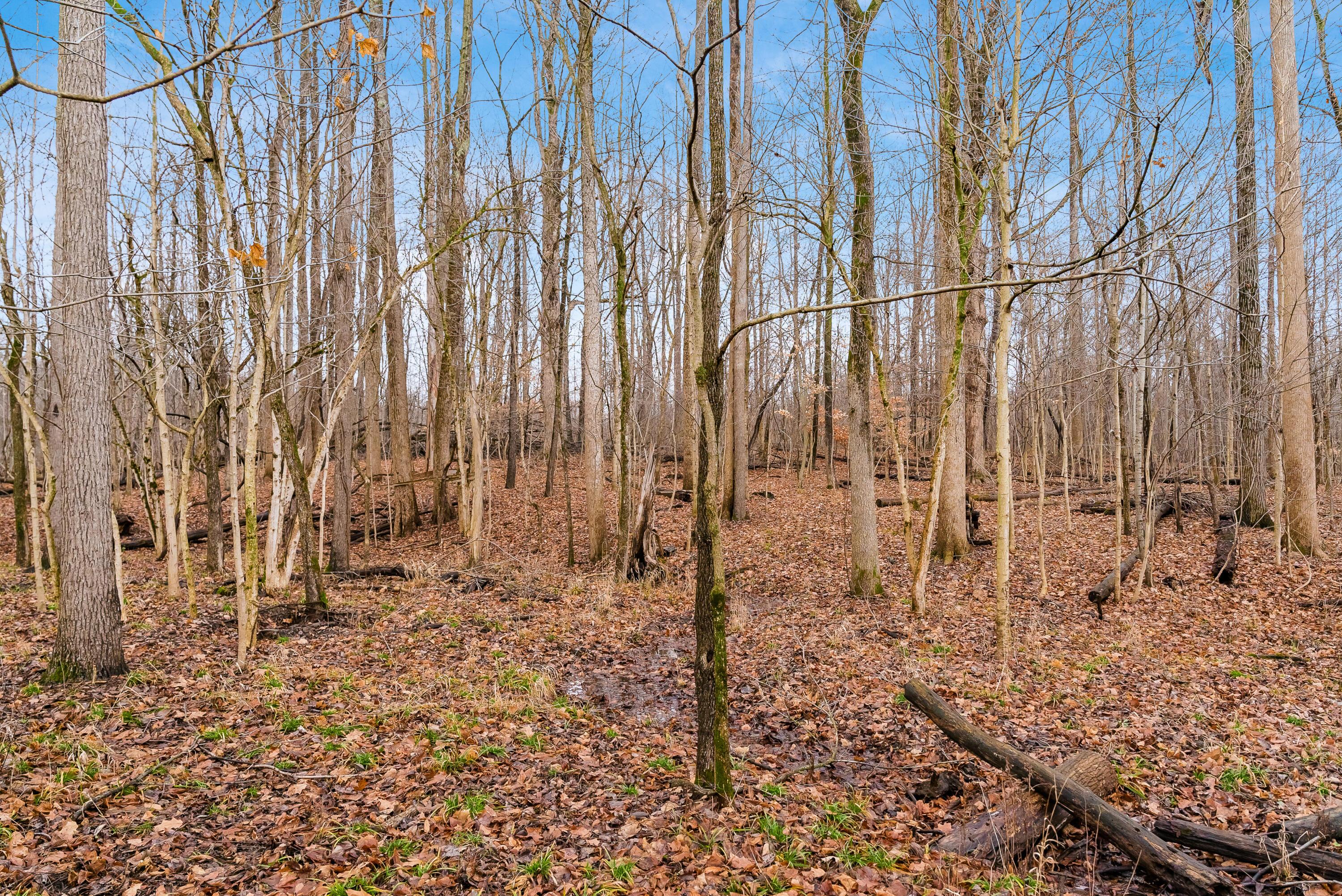 4085 County Road 98