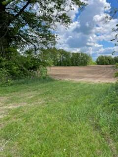 9139 Woodhaven Road