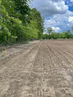9139 Woodhaven Road