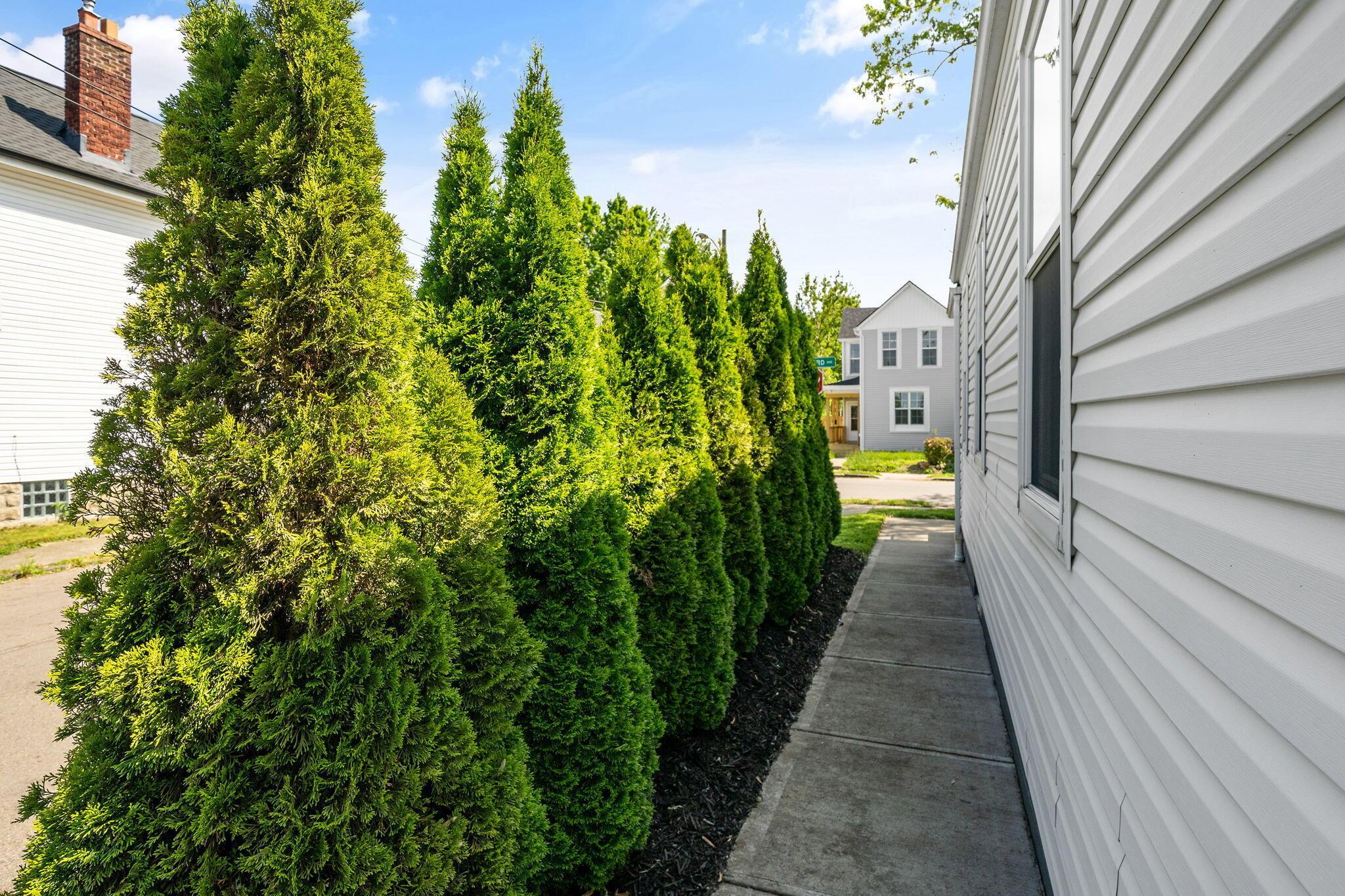 690 Reinhard Avenue