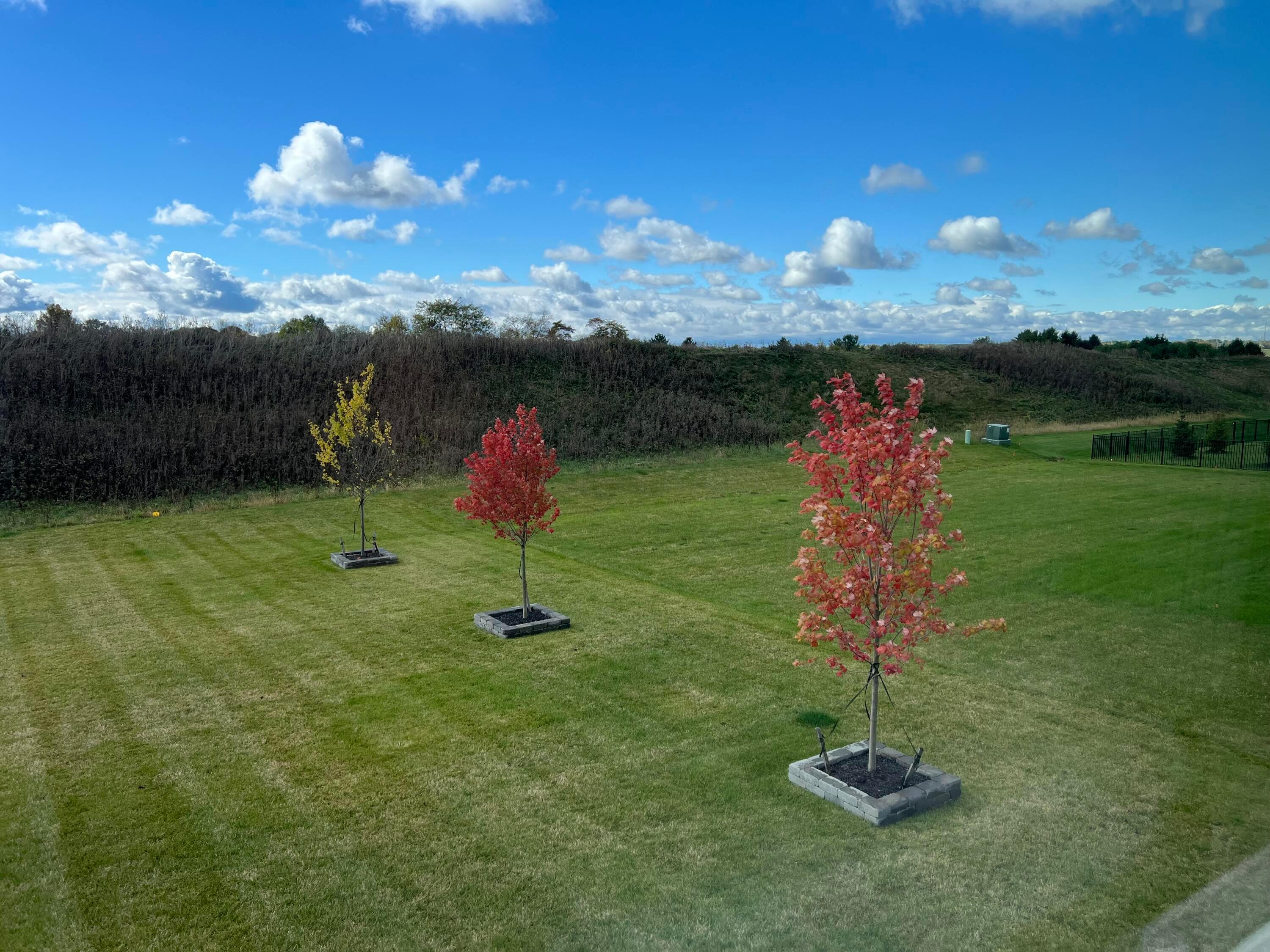 725 Royal Pines Drive