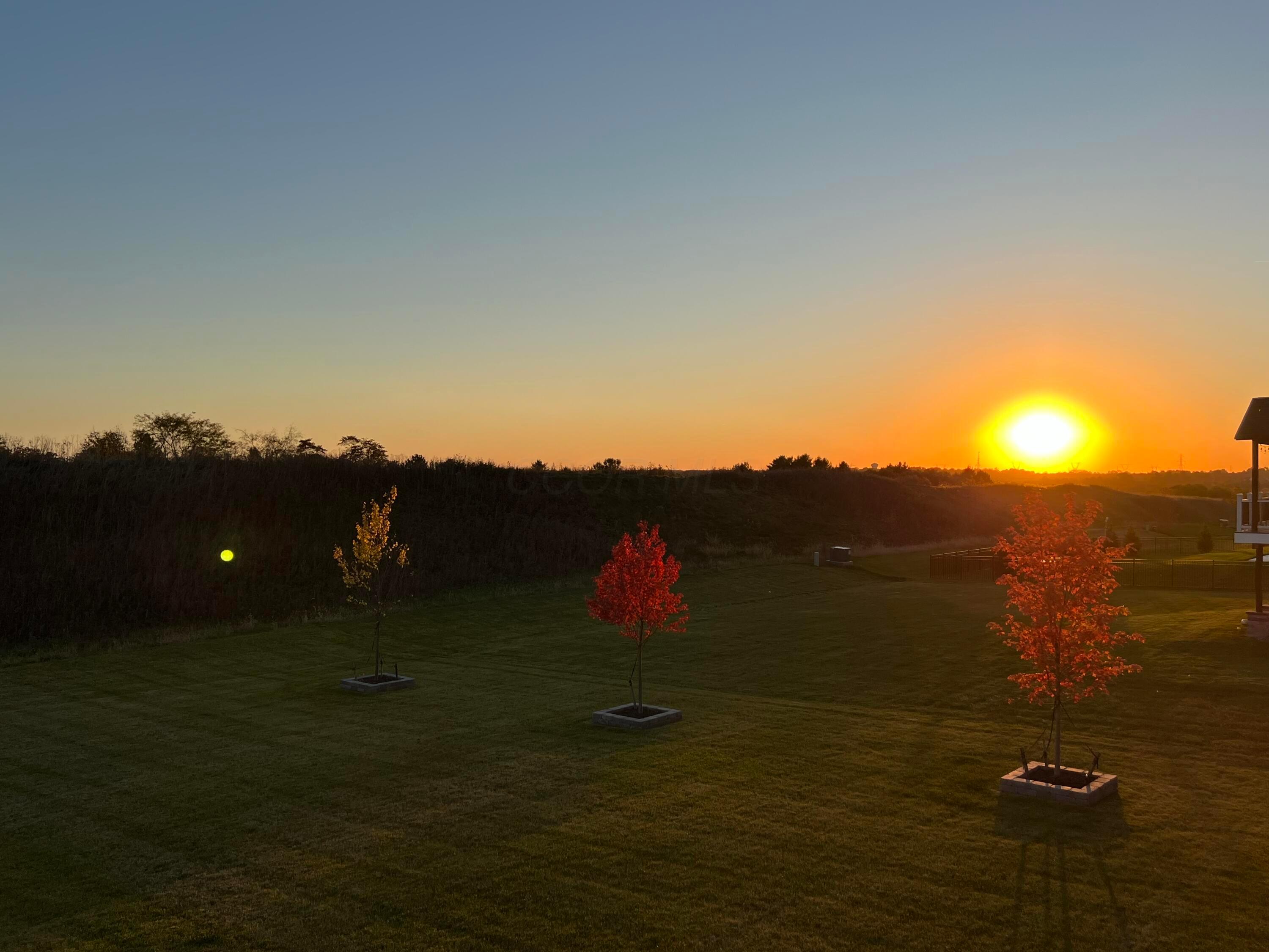 725 Royal Pines Drive