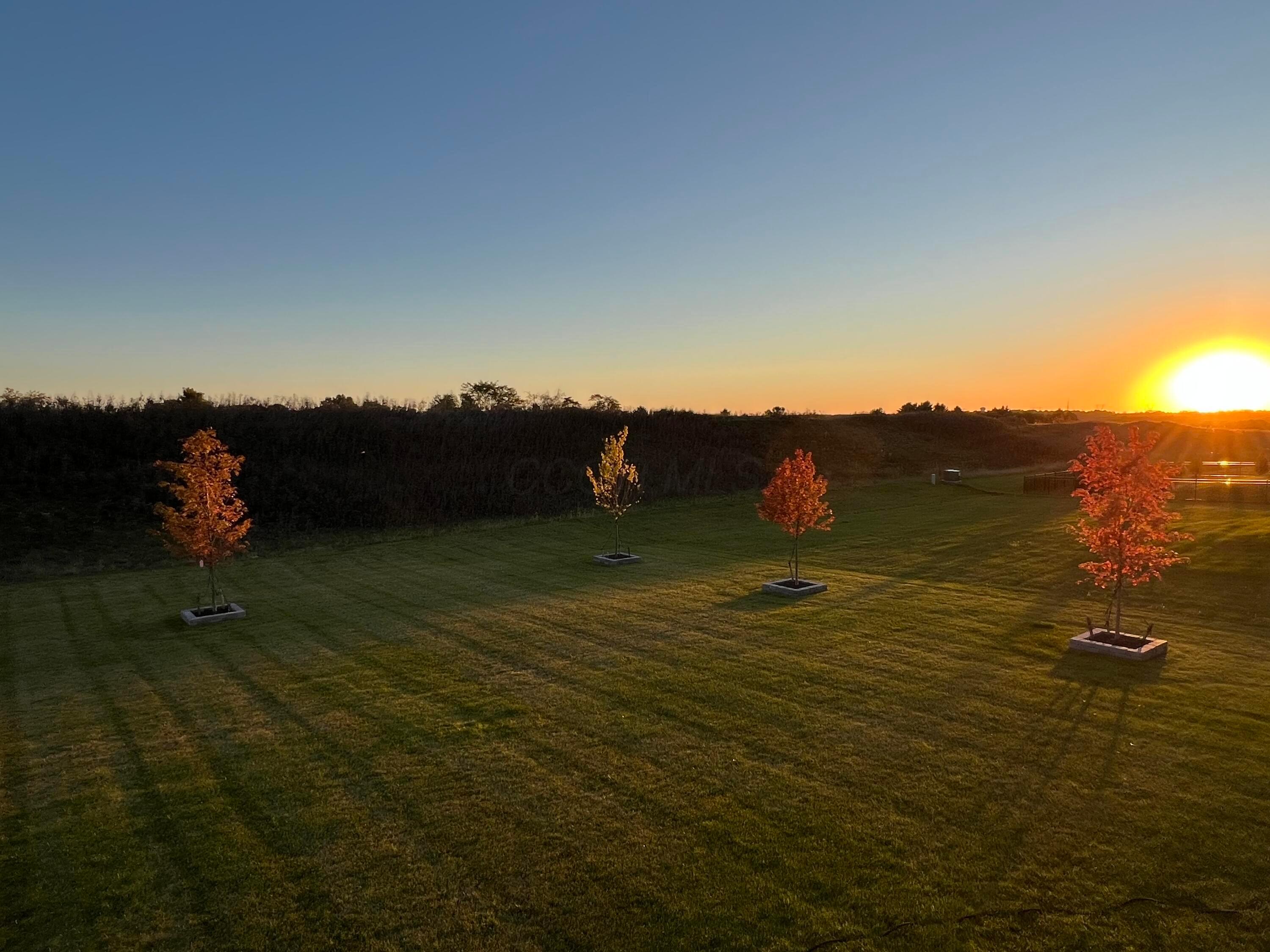 725 Royal Pines Drive