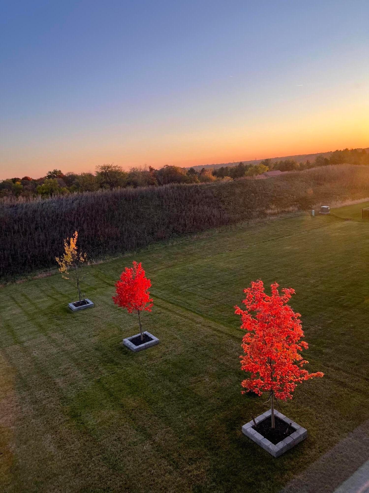 725 Royal Pines Drive