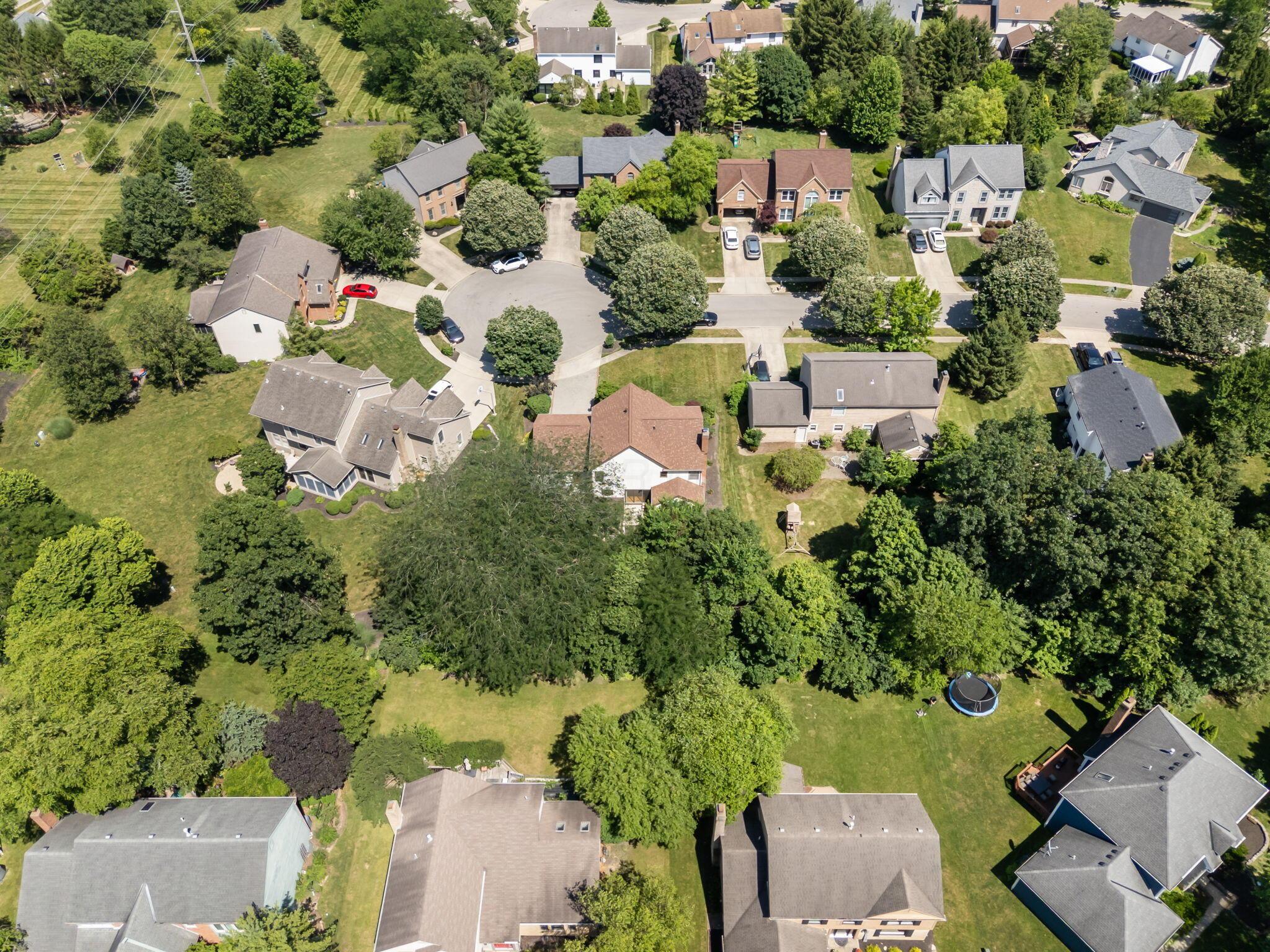 7691 Earlston Court