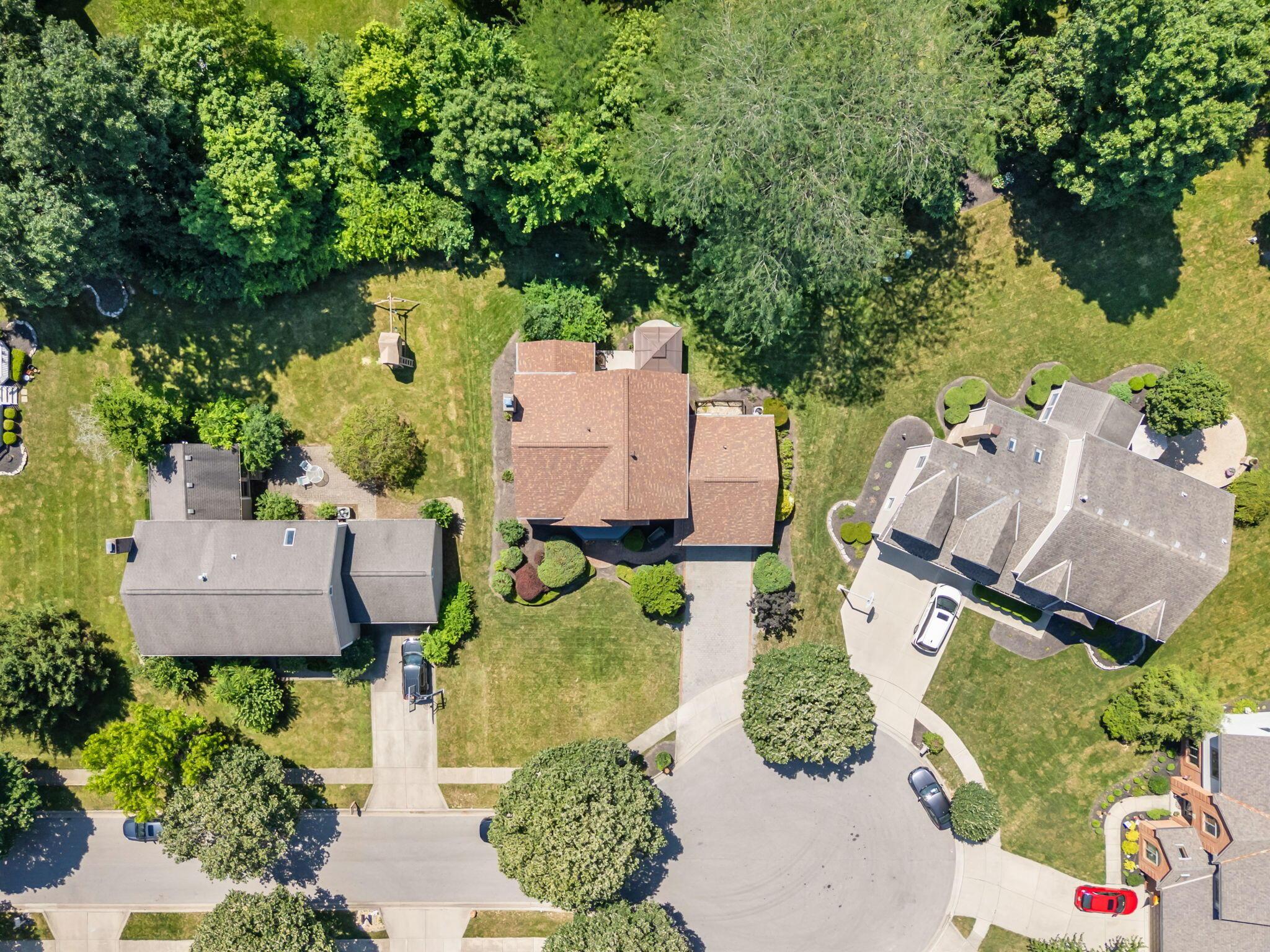 7691 Earlston Court
