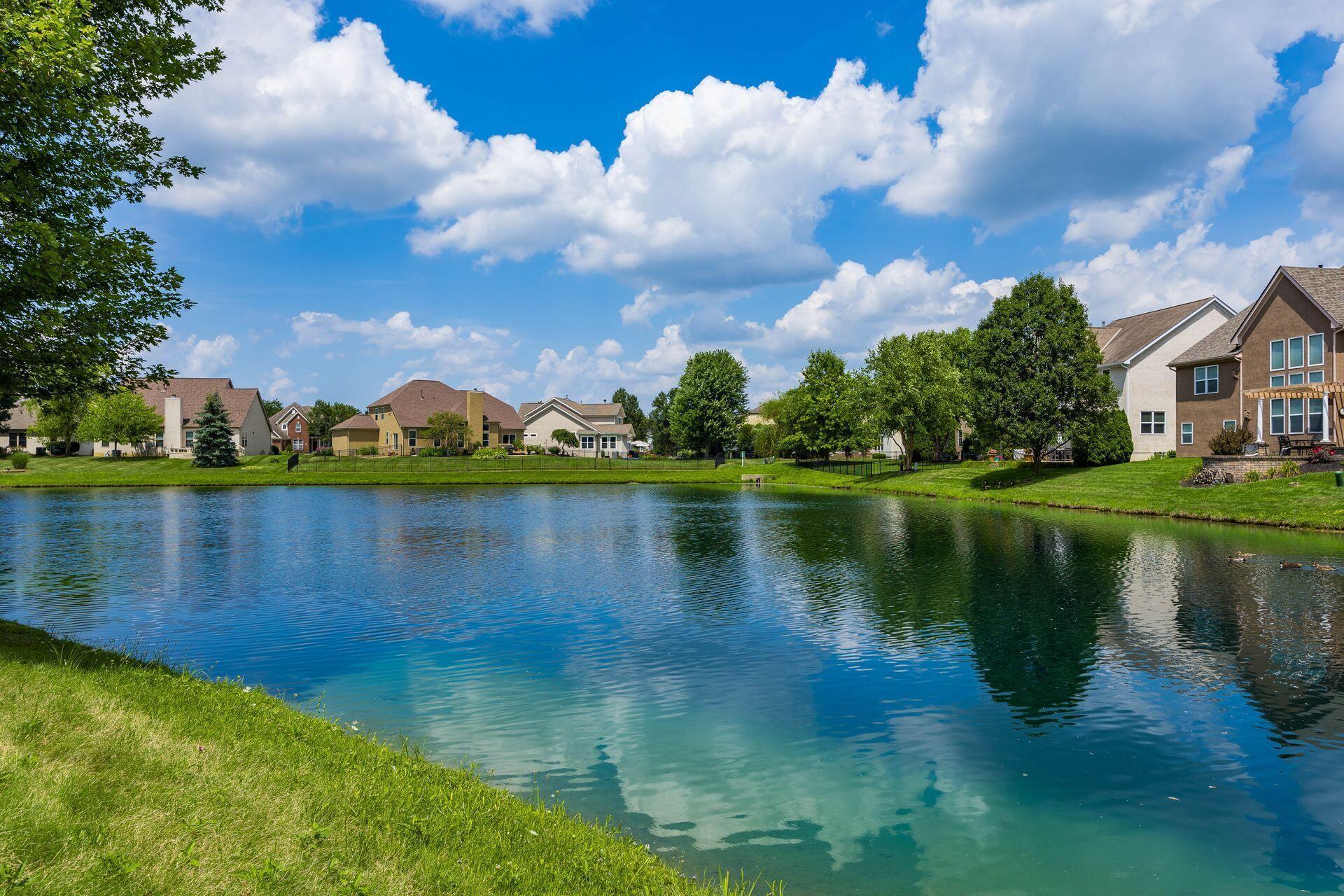 6493 Bromfield Drive