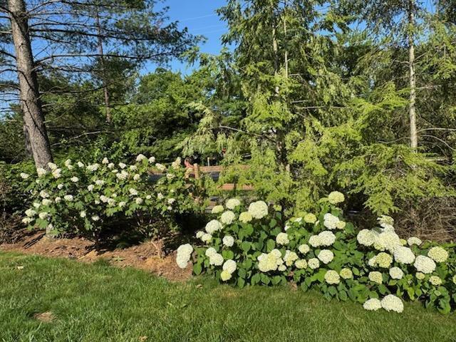 613 Valley Wood Court