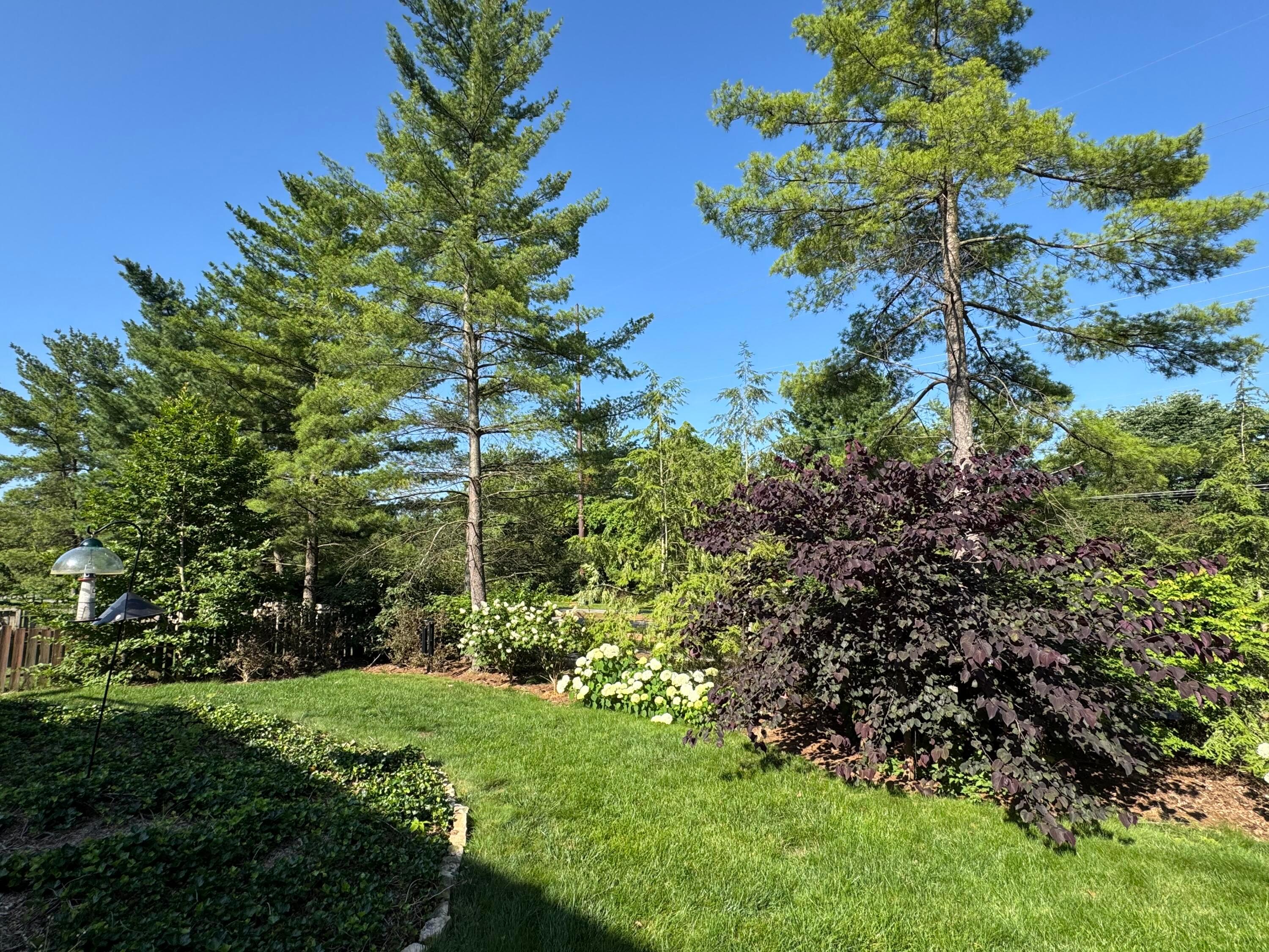 613 Valley Wood Court